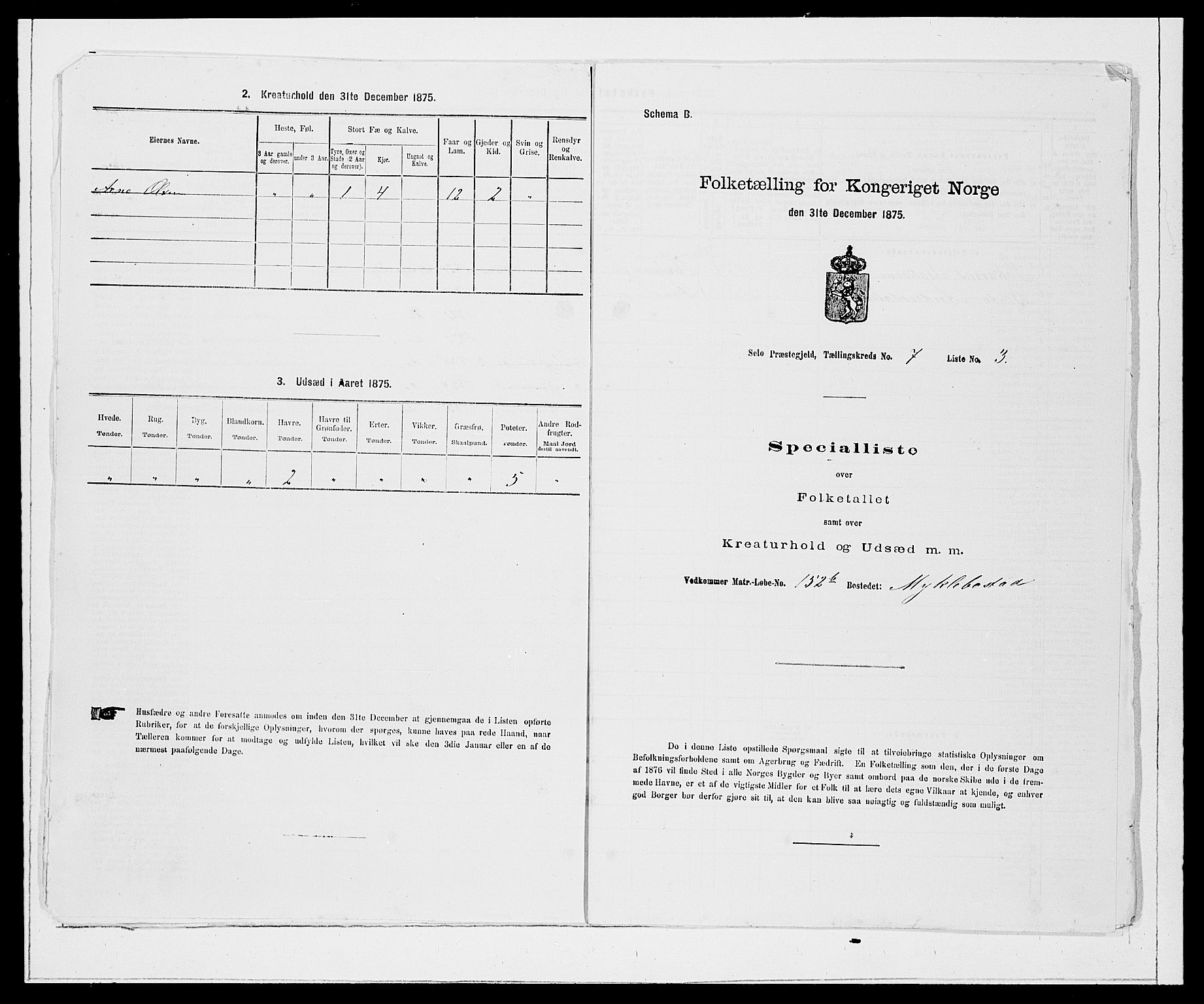 SAB, 1875 Census for 1441P Selje, 1875, p. 803