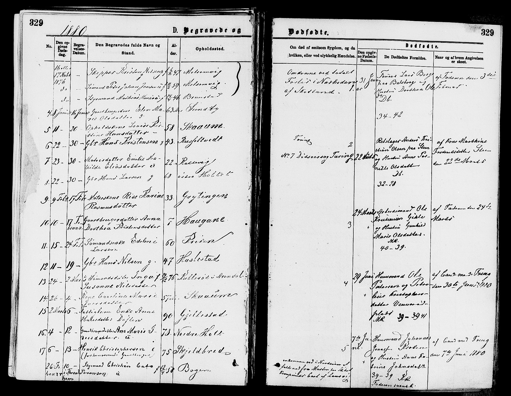 Stokke kirkebøker, AV/SAKO-A-320/F/Fa/L0009: Parish register (official) no. I 9, 1872-1883, p. 329