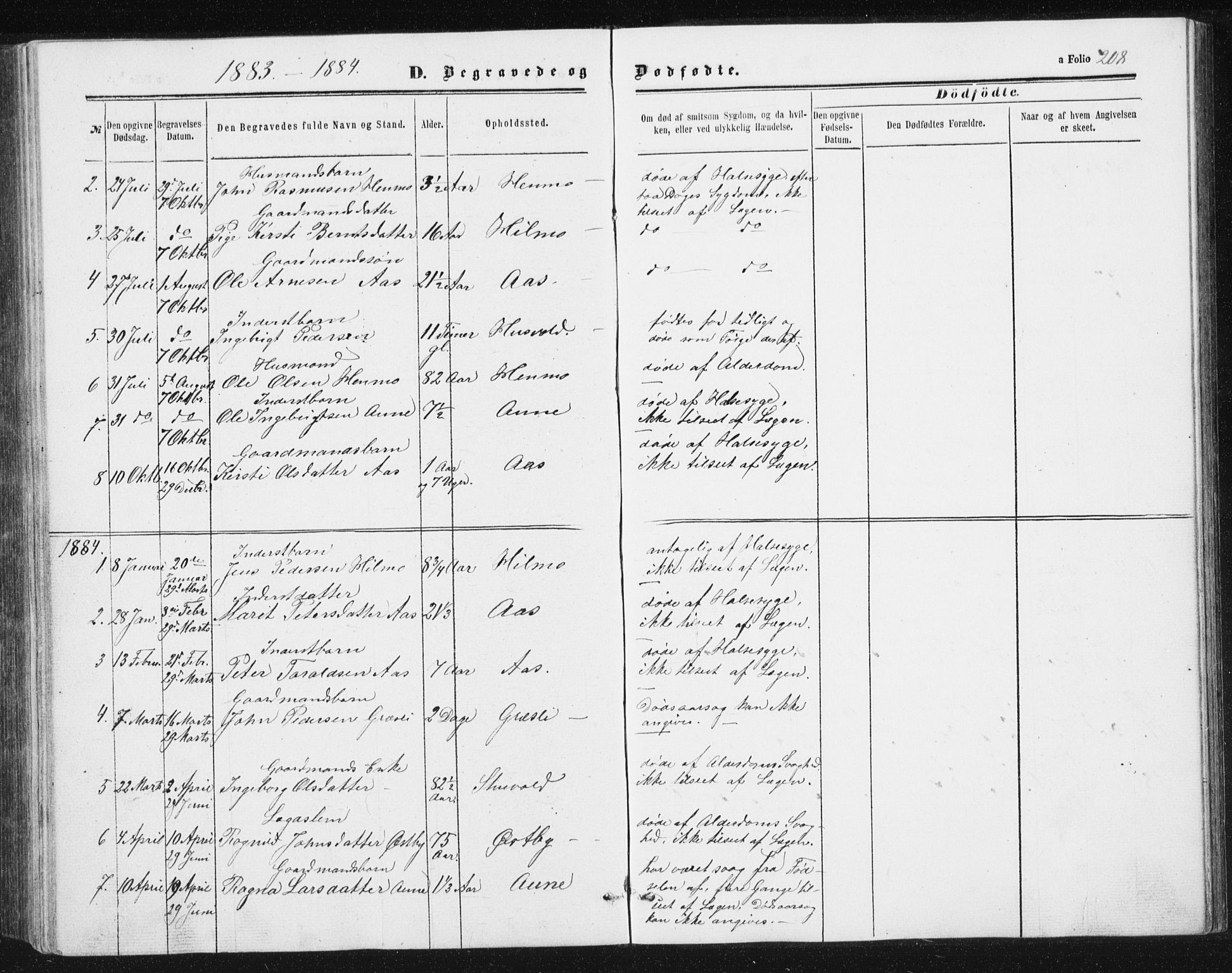 Ministerialprotokoller, klokkerbøker og fødselsregistre - Sør-Trøndelag, AV/SAT-A-1456/698/L1166: Parish register (copy) no. 698C03, 1861-1887, p. 208