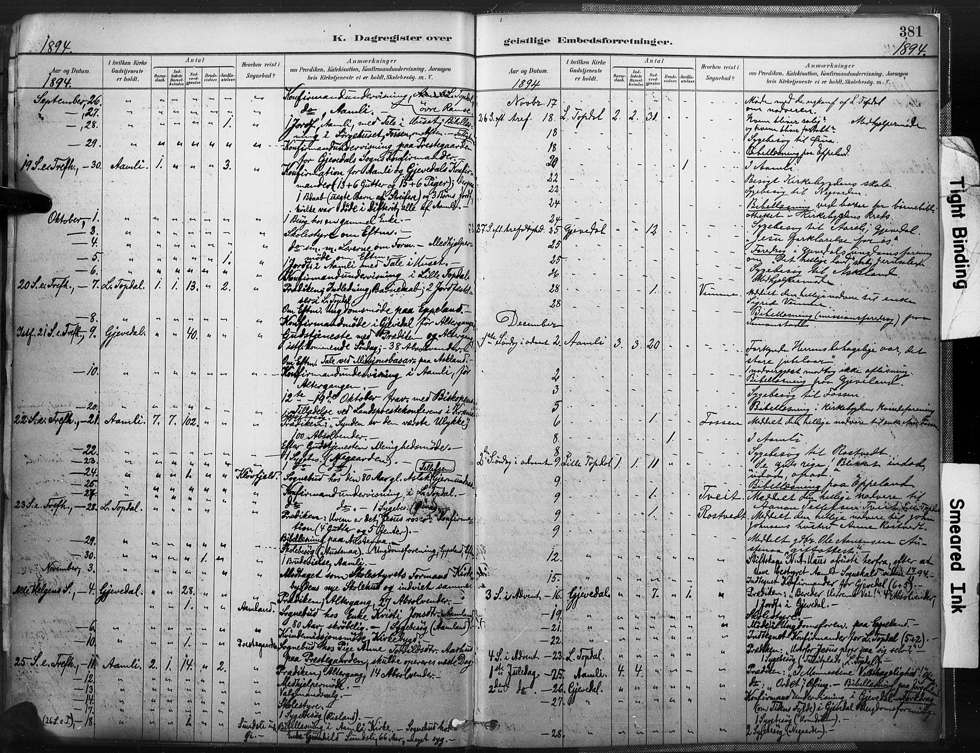 Åmli sokneprestkontor, AV/SAK-1111-0050/F/Fa/Fac/L0010: Parish register (official) no. A 10 /1, 1885-1899, p. 381