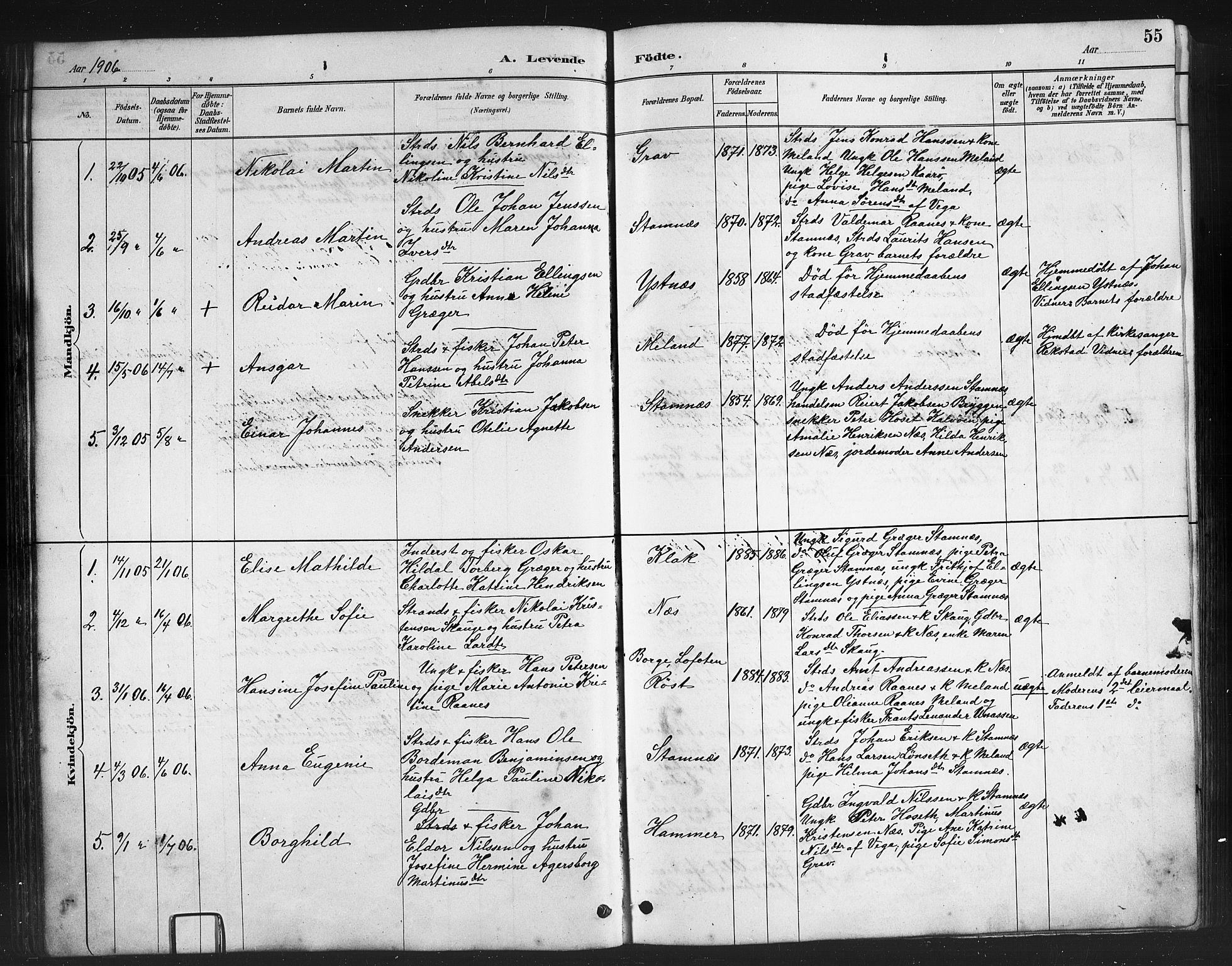 Ministerialprotokoller, klokkerbøker og fødselsregistre - Nordland, AV/SAT-A-1459/808/L0131: Parish register (copy) no. 808C02, 1879-1919, p. 55