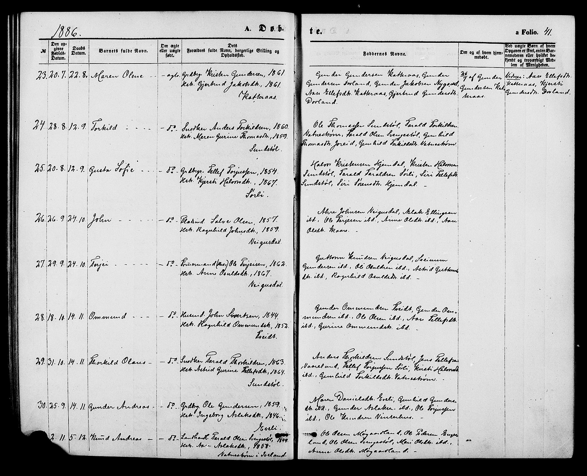 Herefoss sokneprestkontor, AV/SAK-1111-0019/F/Fa/Fab/L0003: Parish register (official) no. A 3, 1875-1886, p. 41