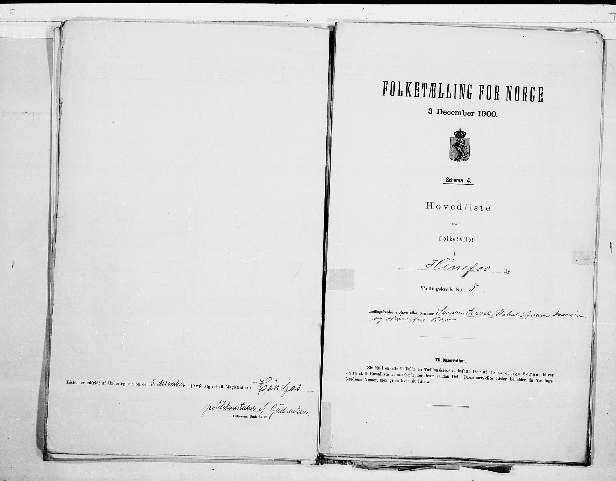 RA, 1900 census for Hønefoss, 1900, p. 12