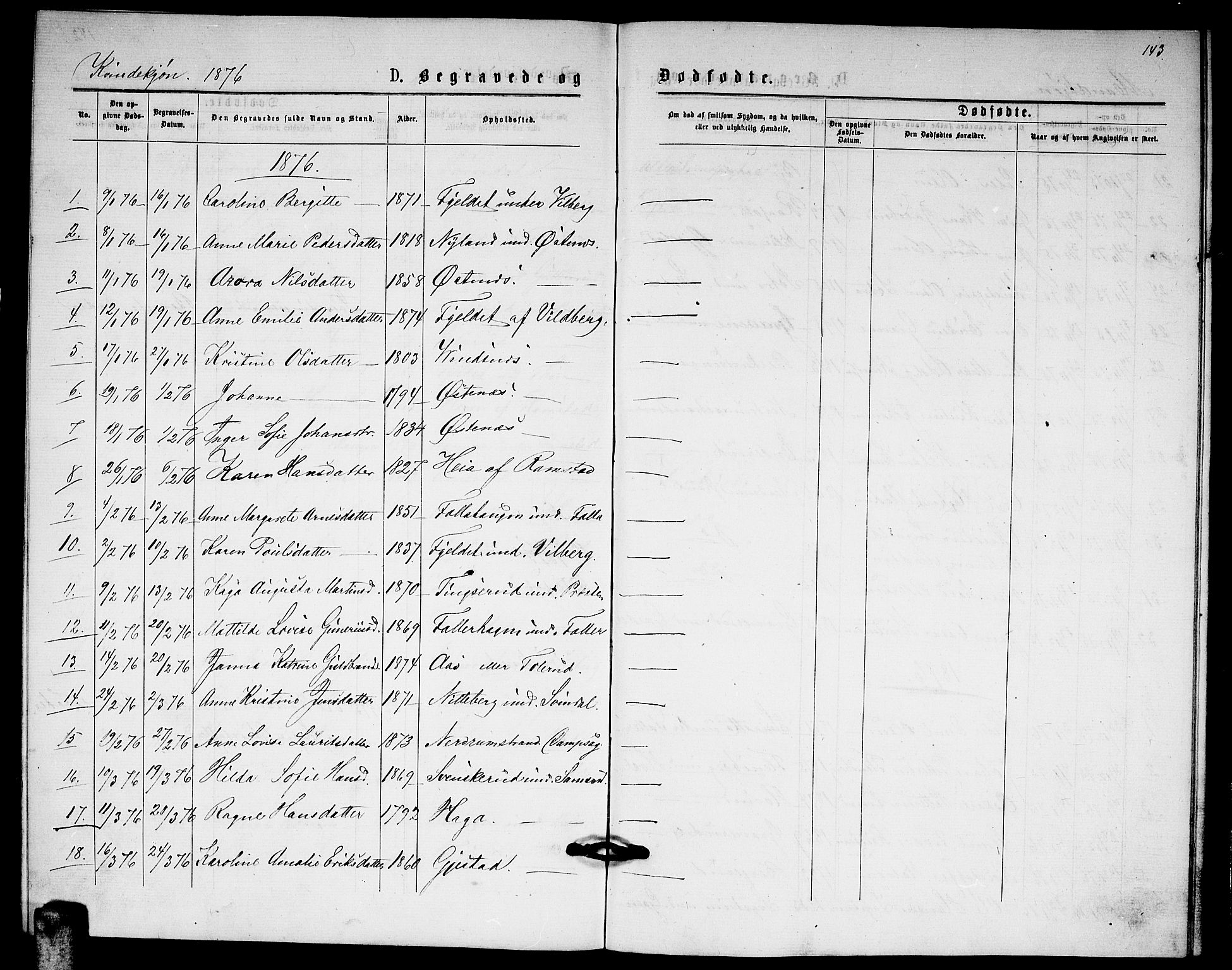 Fet prestekontor Kirkebøker, AV/SAO-A-10370a/G/Ga/L0005: Parish register (copy) no. I 5, 1875-1877, p. 143