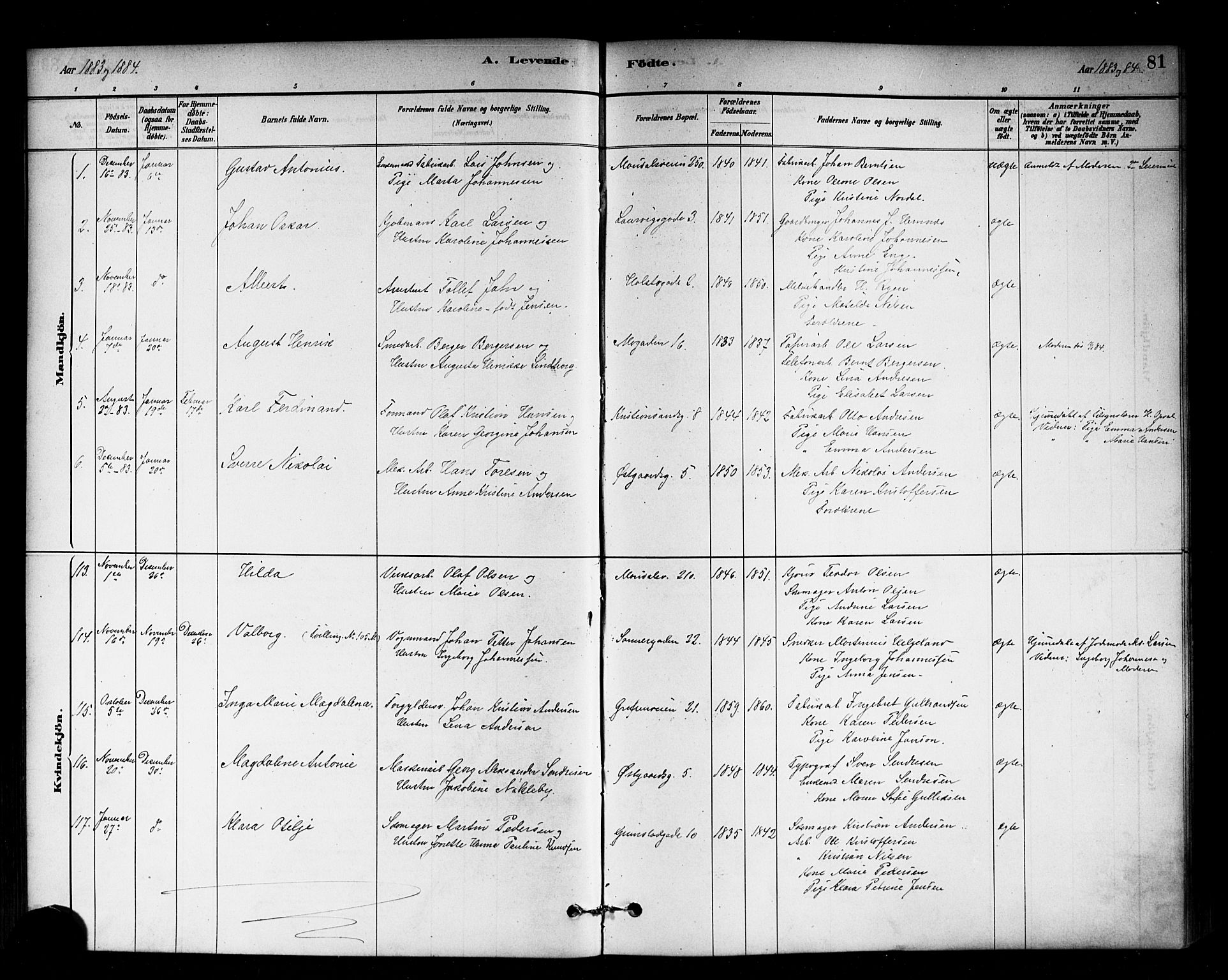Sagene prestekontor Kirkebøker, SAO/A-10796/G/L0001: Parish register (copy) no. 1, 1880-1891, p. 81