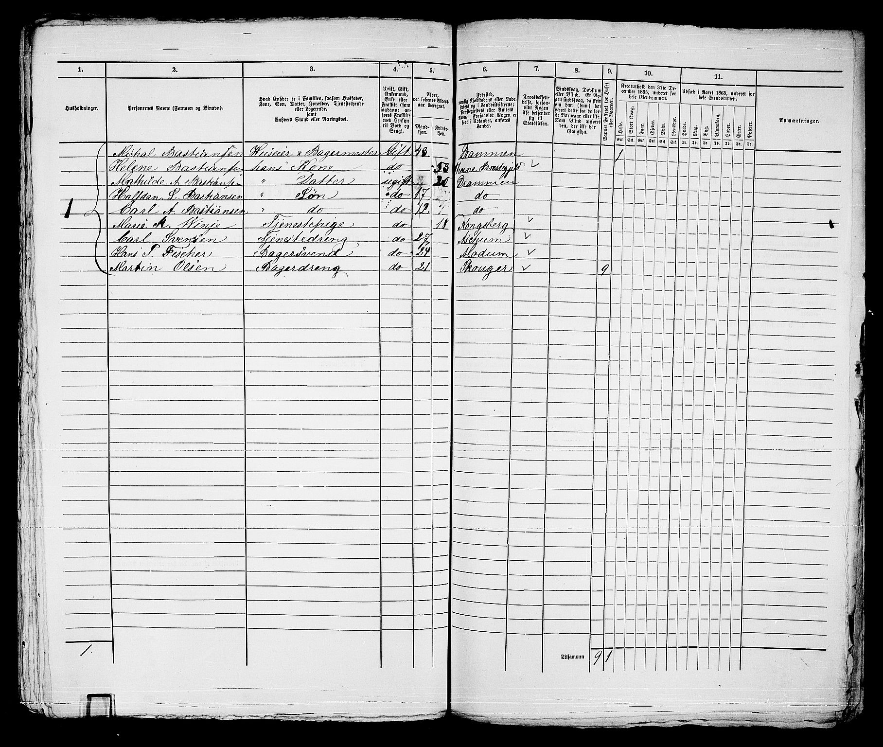 RA, 1865 census for Strømsø in Drammen, 1865, p. 536