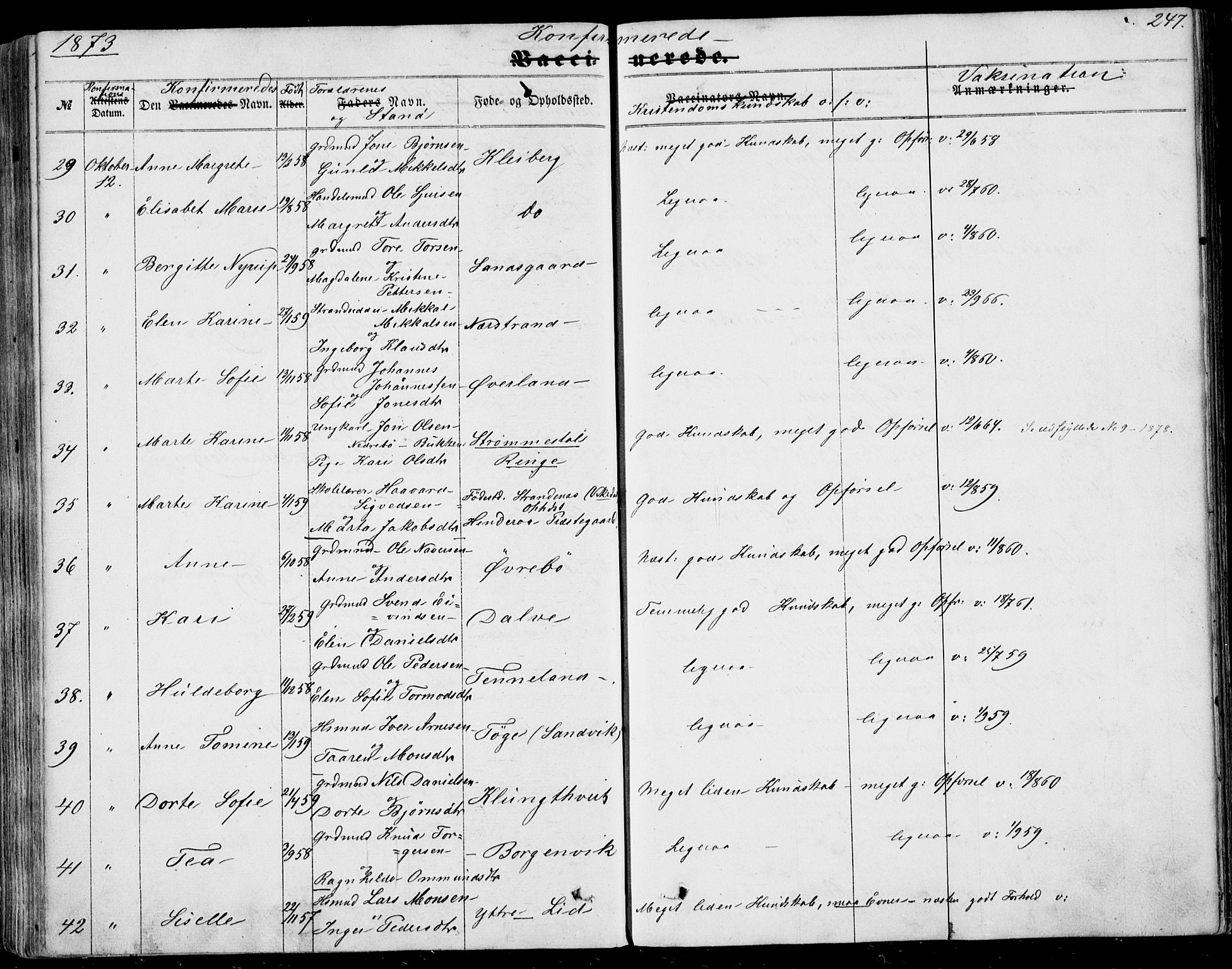 Nedstrand sokneprestkontor, AV/SAST-A-101841/01/IV: Parish register (official) no. A 9, 1861-1876, p. 247