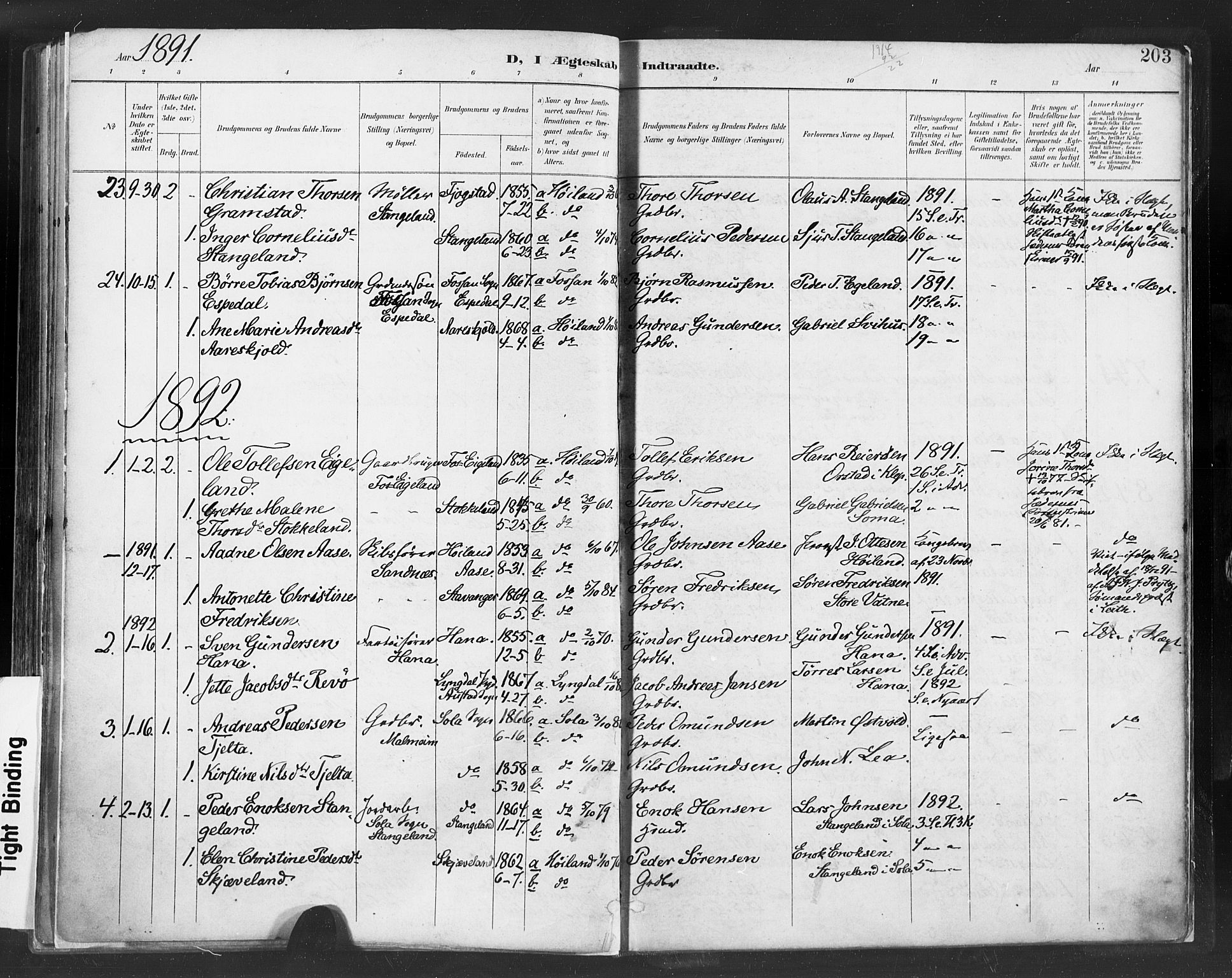 Høyland sokneprestkontor, SAST/A-101799/001/30BA/L0013: Parish register (official) no. A 13.1, 1889-1898, p. 203