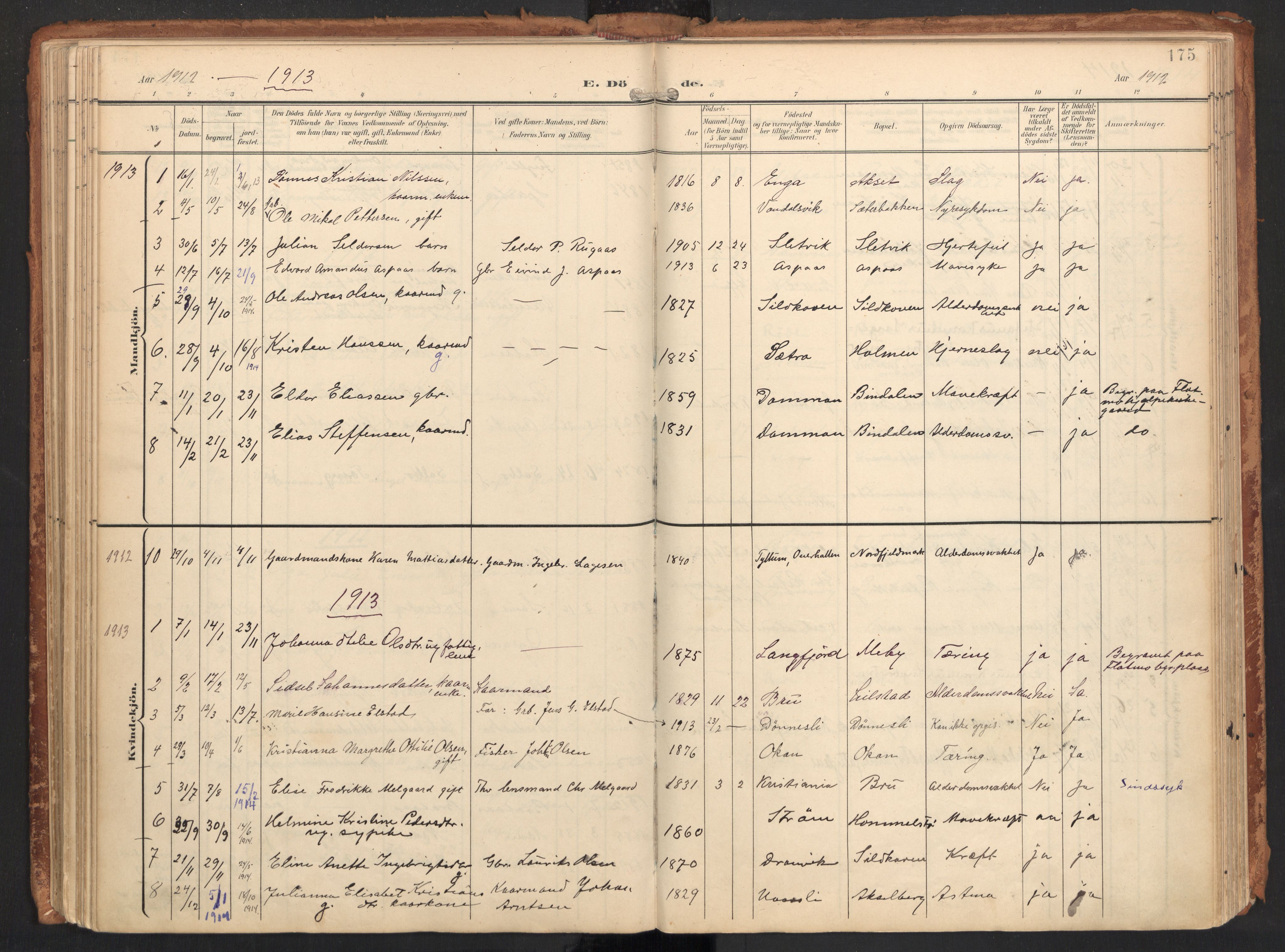 Ministerialprotokoller, klokkerbøker og fødselsregistre - Nordland, SAT/A-1459/814/L0227: Parish register (official) no. 814A08, 1899-1920, p. 175