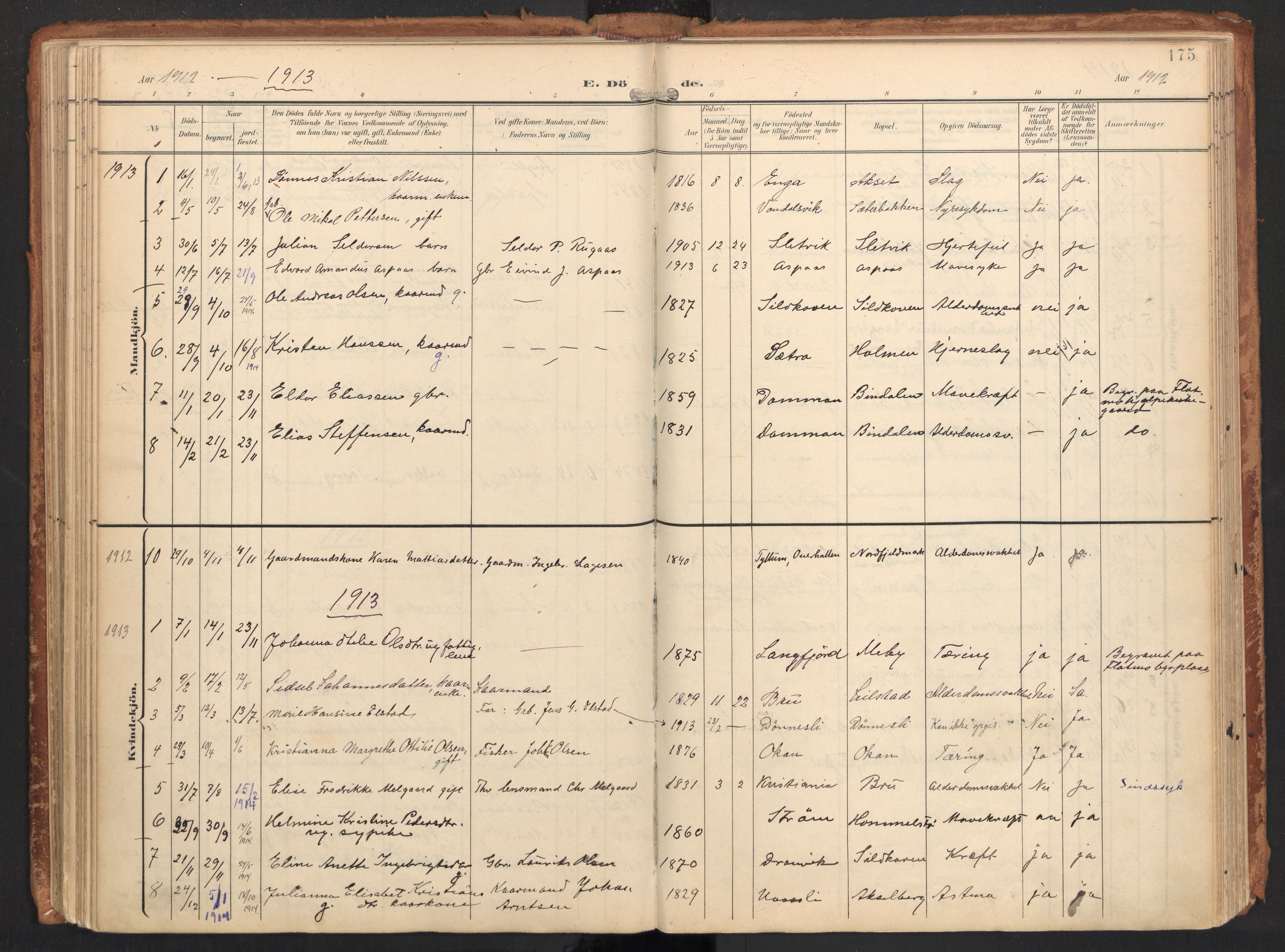 Ministerialprotokoller, klokkerbøker og fødselsregistre - Nordland, AV/SAT-A-1459/814/L0227: Parish register (official) no. 814A08, 1899-1920, p. 175