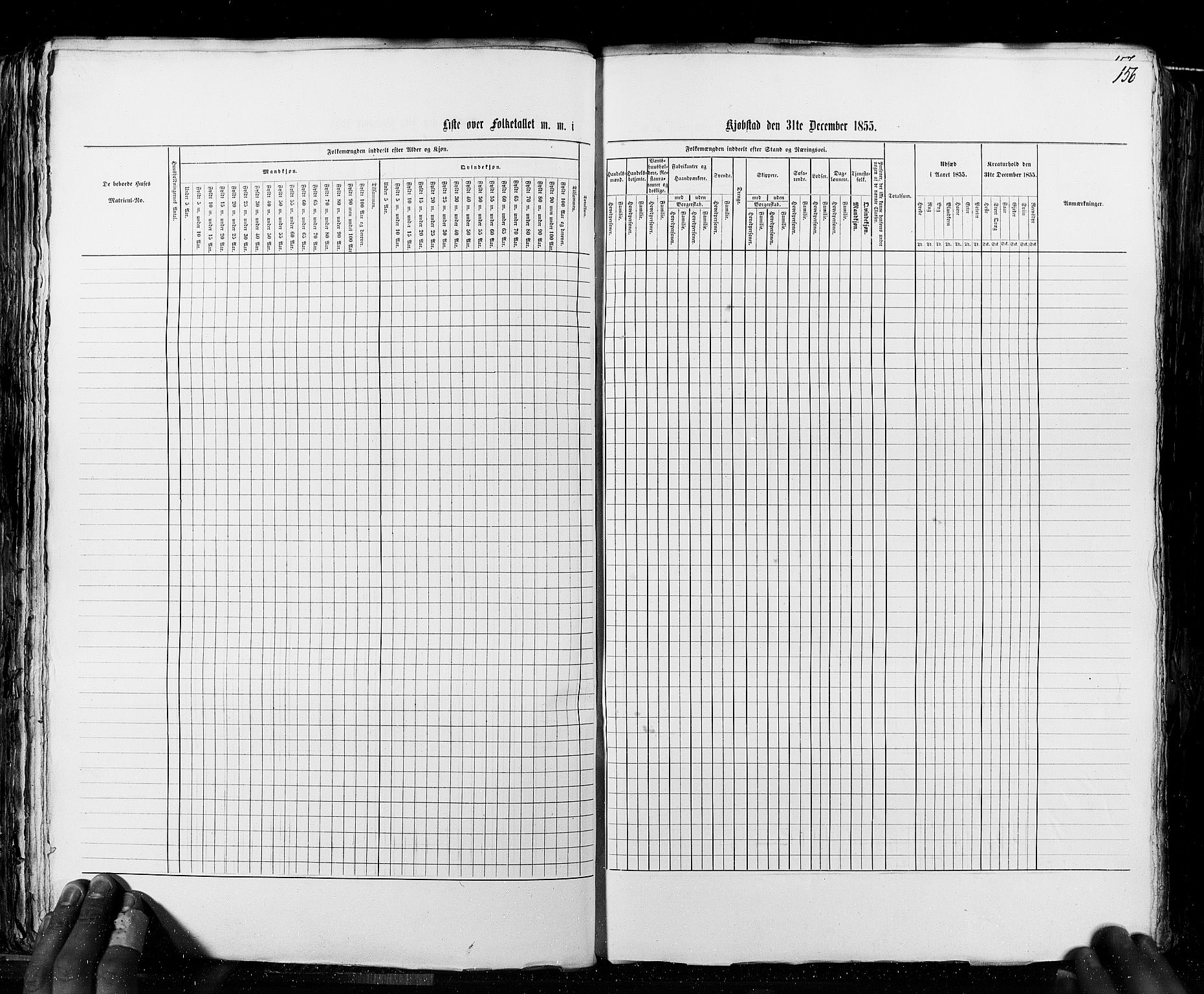 RA, Census 1855, vol. 8: Risør-Vadsø, 1855, p. 156