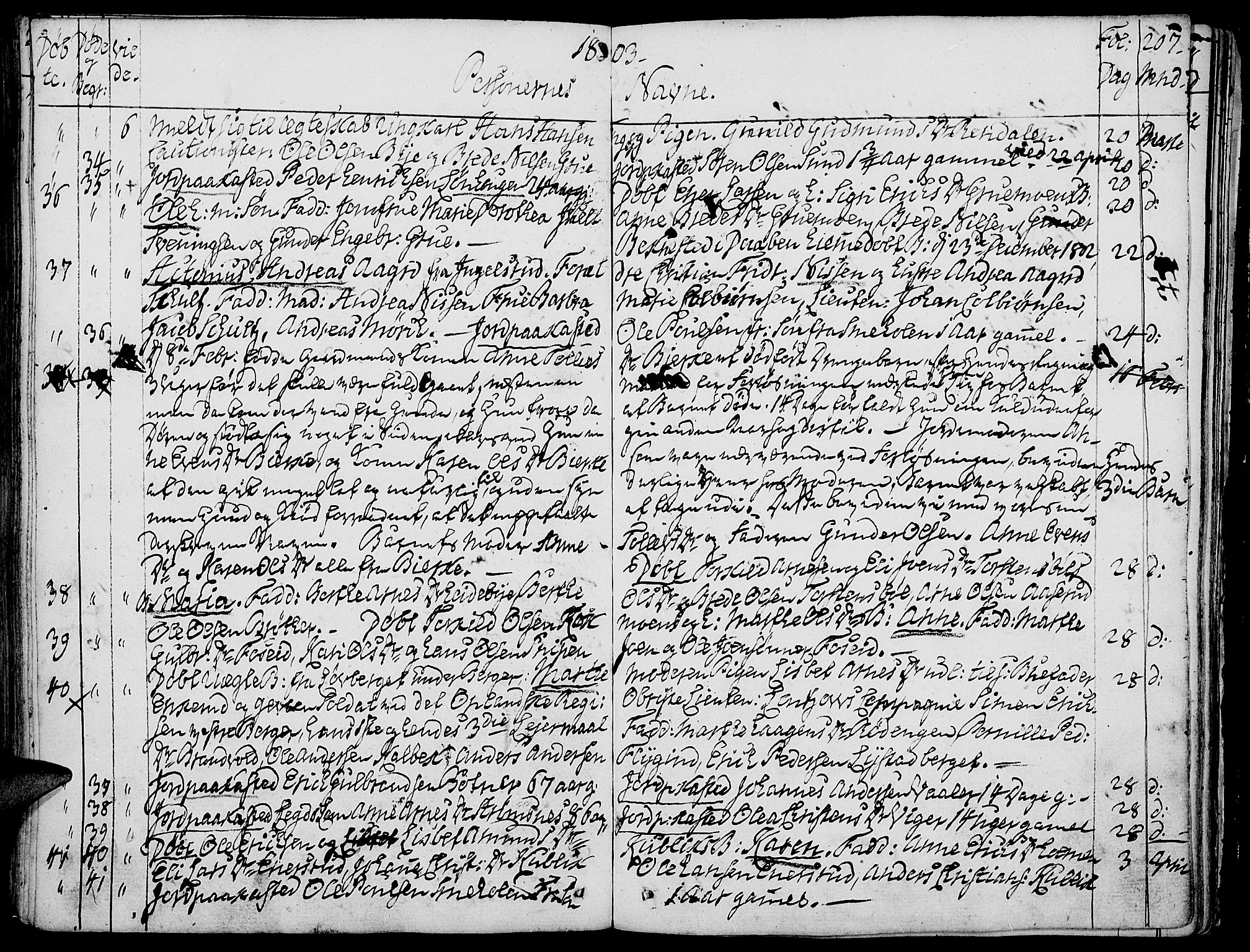 Grue prestekontor, AV/SAH-PREST-036/H/Ha/Haa/L0004: Parish register (official) no. 4, 1792-1805, p. 207