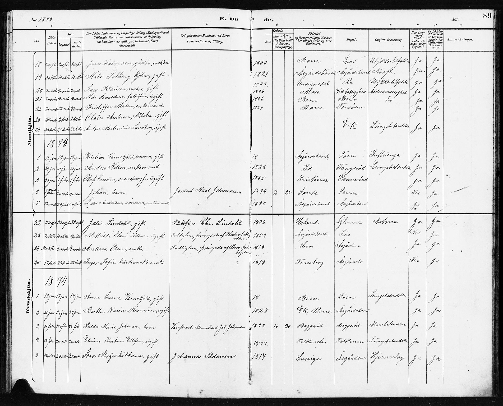 Borre kirkebøker, AV/SAKO-A-338/G/Ga/L0004: Parish register (copy) no. I 4, 1892-1913, p. 89