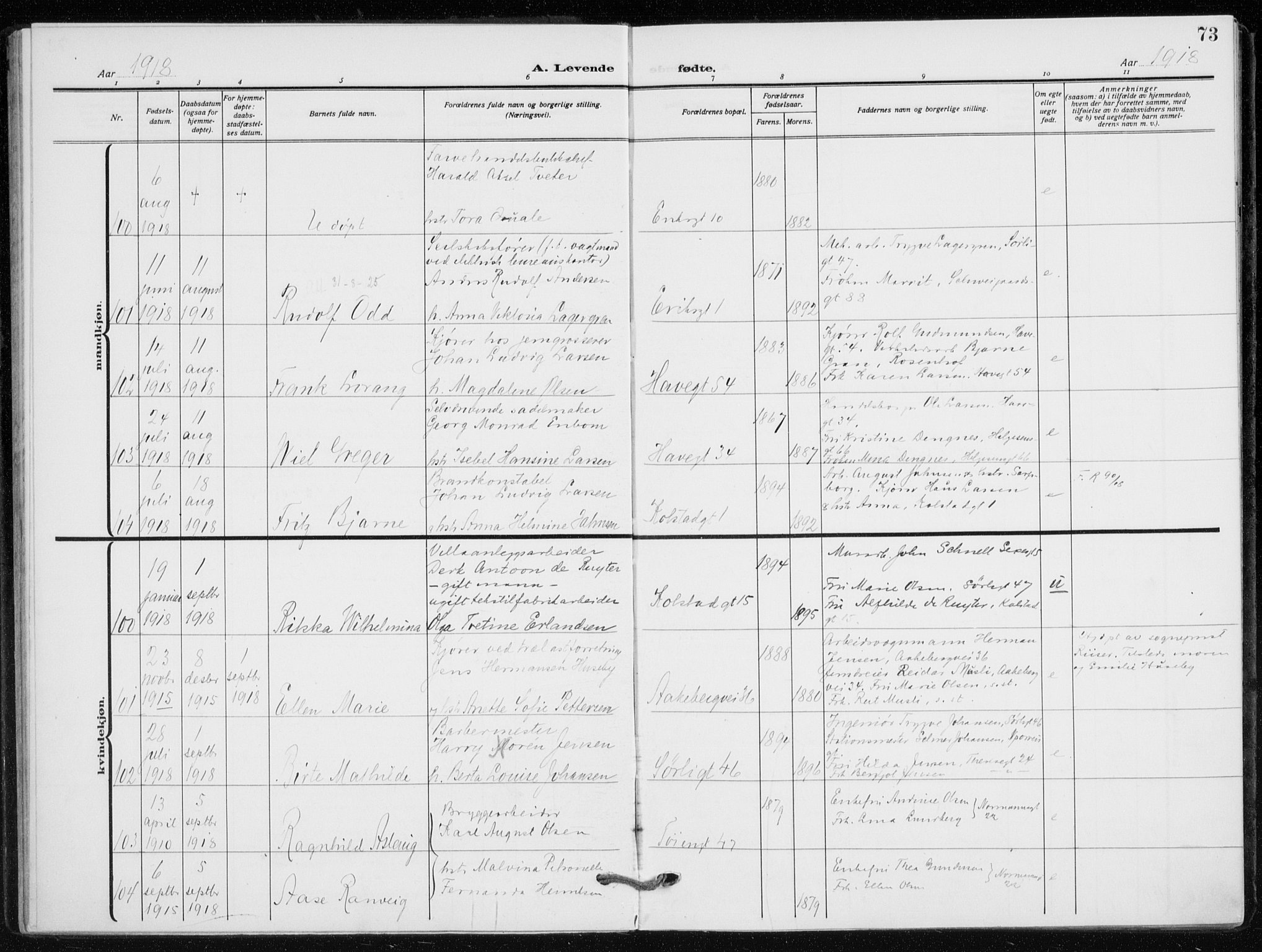 Kampen prestekontor Kirkebøker, SAO/A-10853/F/Fa/L0012: Parish register (official) no. I 12, 1916-1921, p. 73