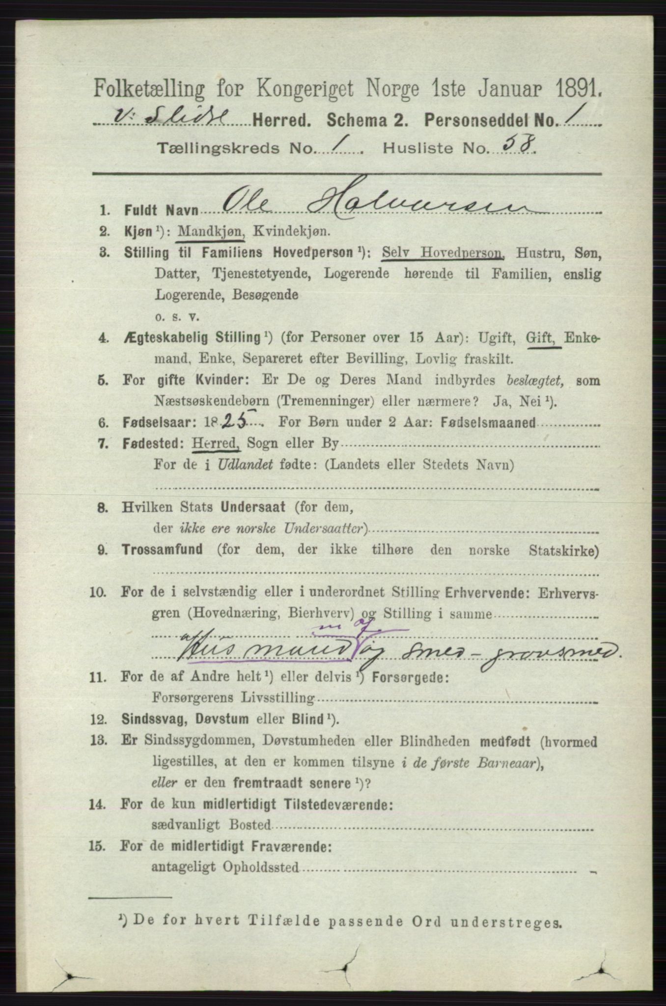 RA, 1891 census for 0543 Vestre Slidre, 1891, p. 409