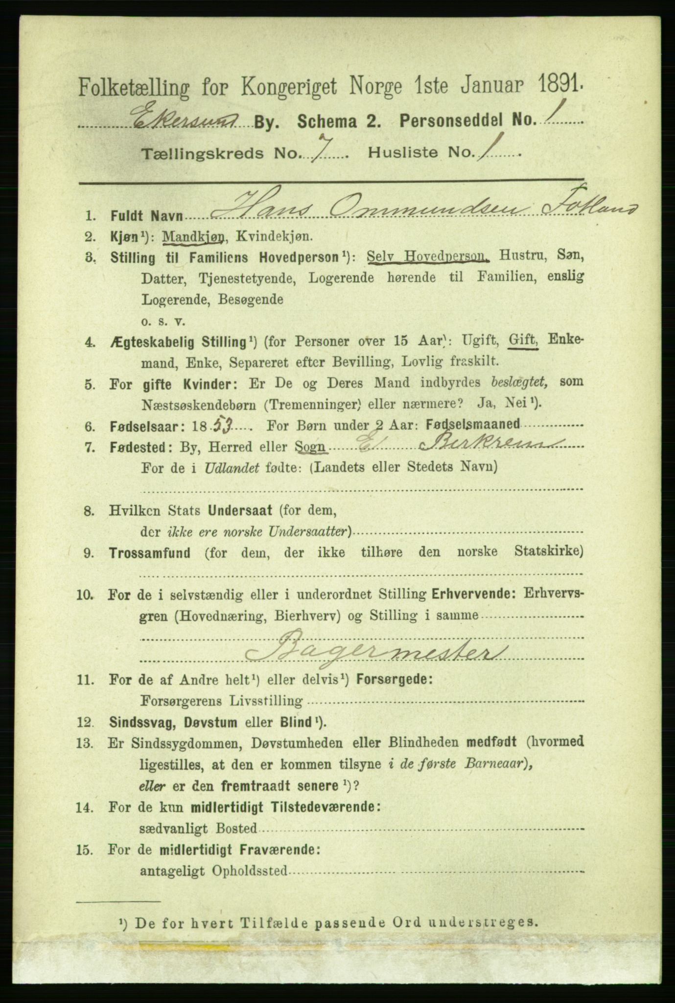 RA, 1891 census for 1101 Egersund, 1891, p. 1217