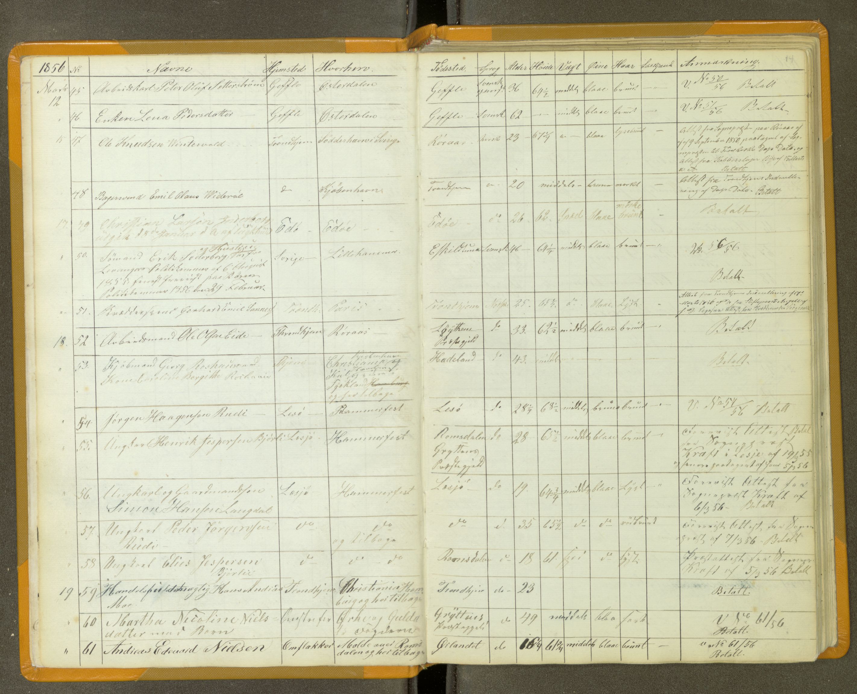 Trondheim politikammer, AV/SAT-A-1887/1/30/L0011: Passprotokoll. Utstedte pass 1855-1890. Utstede og forviste handelsbrev 1857-1860, 1855-1890, p. 13b-14a