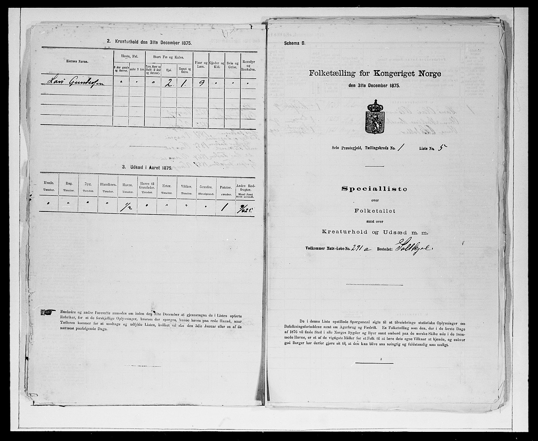 SAB, 1875 Census for 1441P Selje, 1875, p. 40