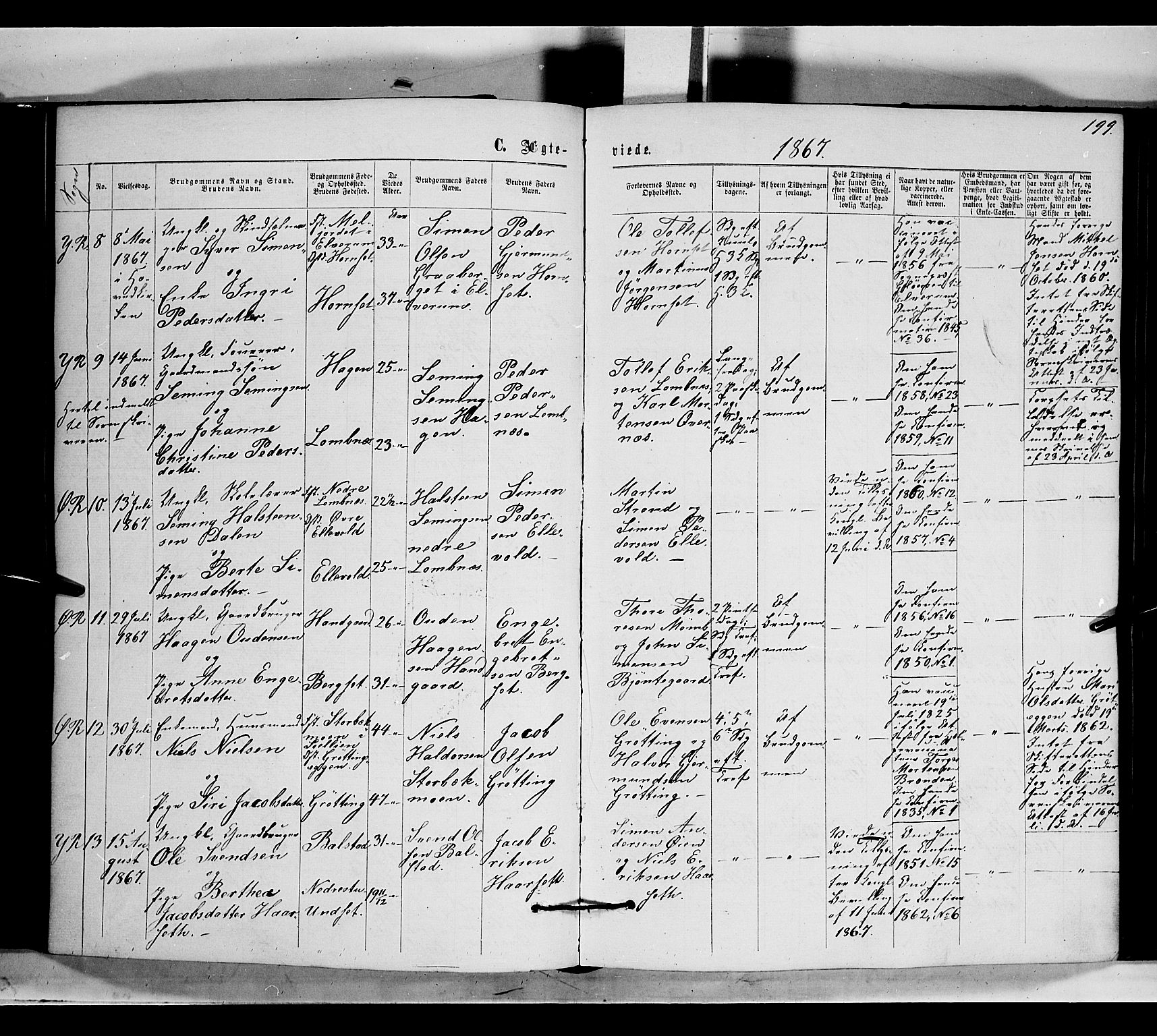 Rendalen prestekontor, SAH/PREST-054/H/Ha/Haa/L0006: Parish register (official) no. 6, 1867-1877, p. 199