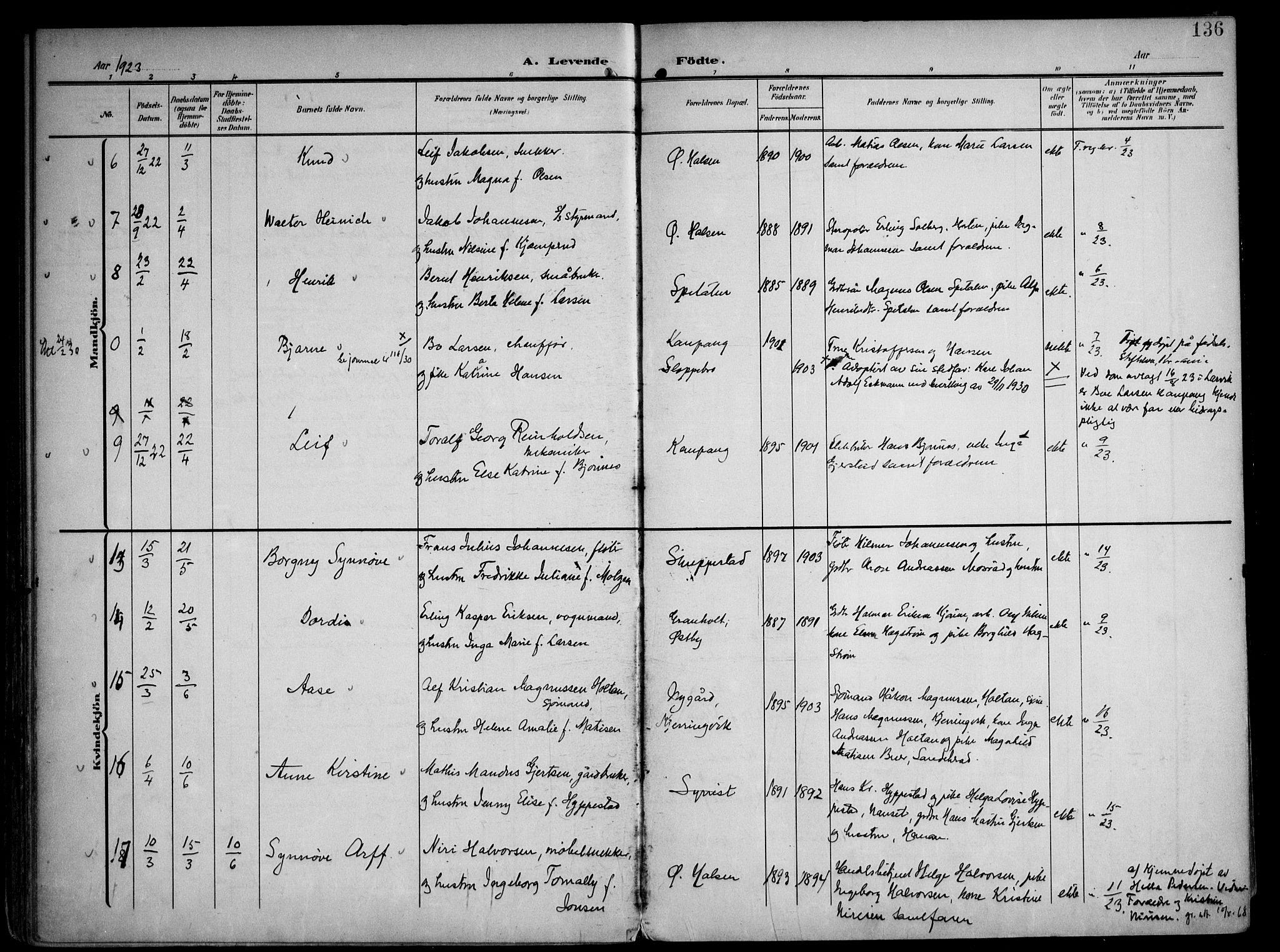 Tjølling kirkebøker, AV/SAKO-A-60/F/Fa/L0010: Parish register (official) no. 10, 1906-1923, p. 136