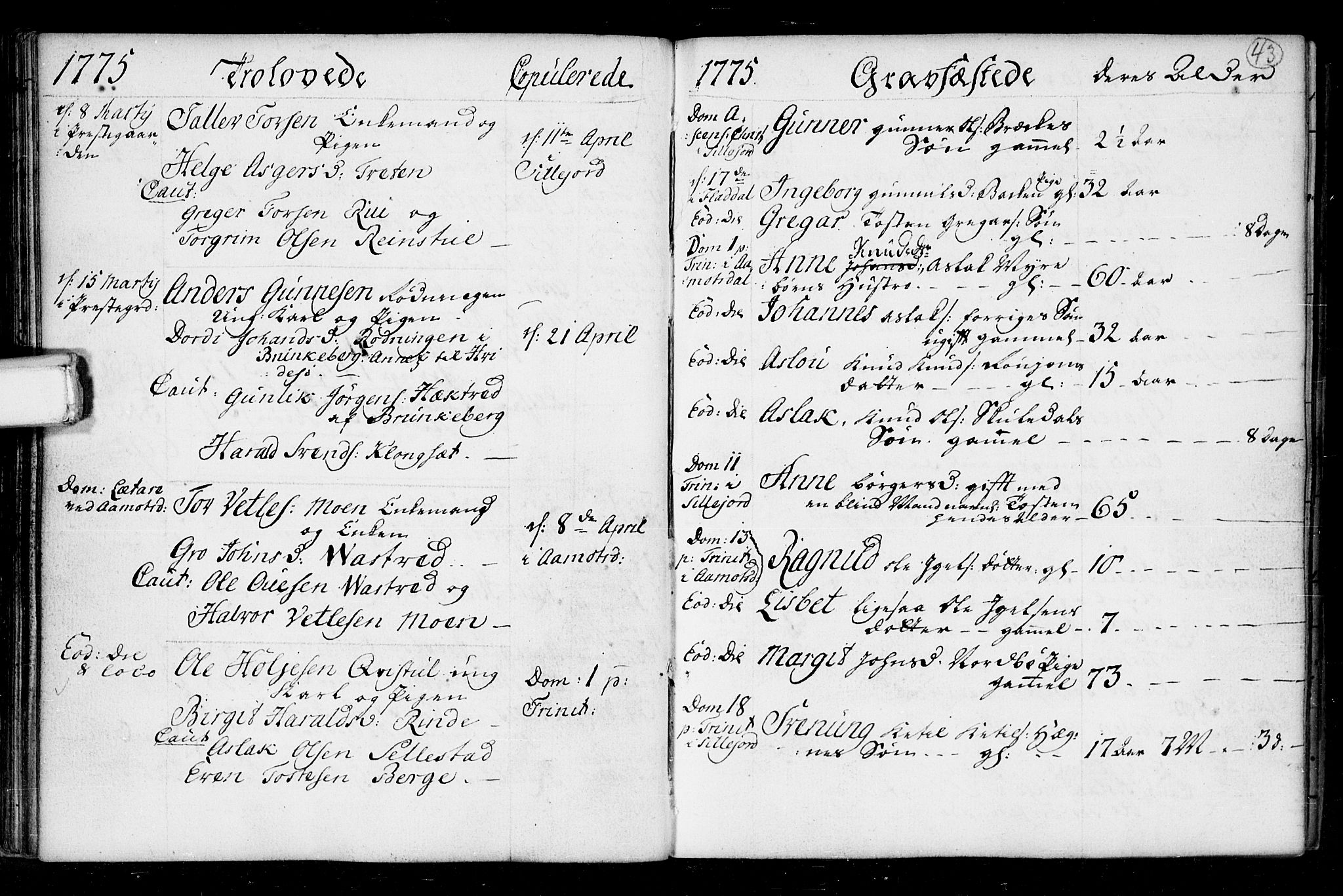 Seljord kirkebøker, SAKO/A-20/F/Fa/L0008: Parish register (official) no. I 8, 1755-1814, p. 43