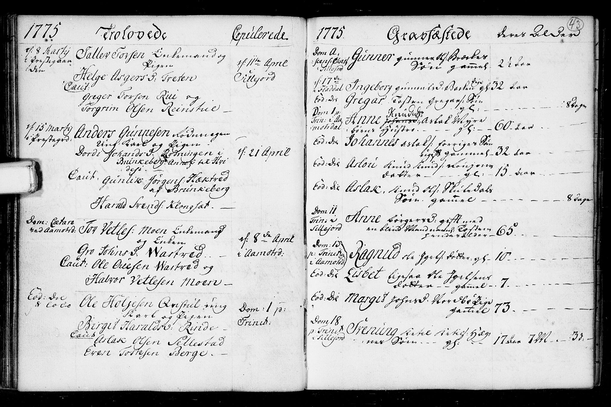 Seljord kirkebøker, AV/SAKO-A-20/F/Fa/L0008: Parish register (official) no. I 8, 1755-1814, p. 43