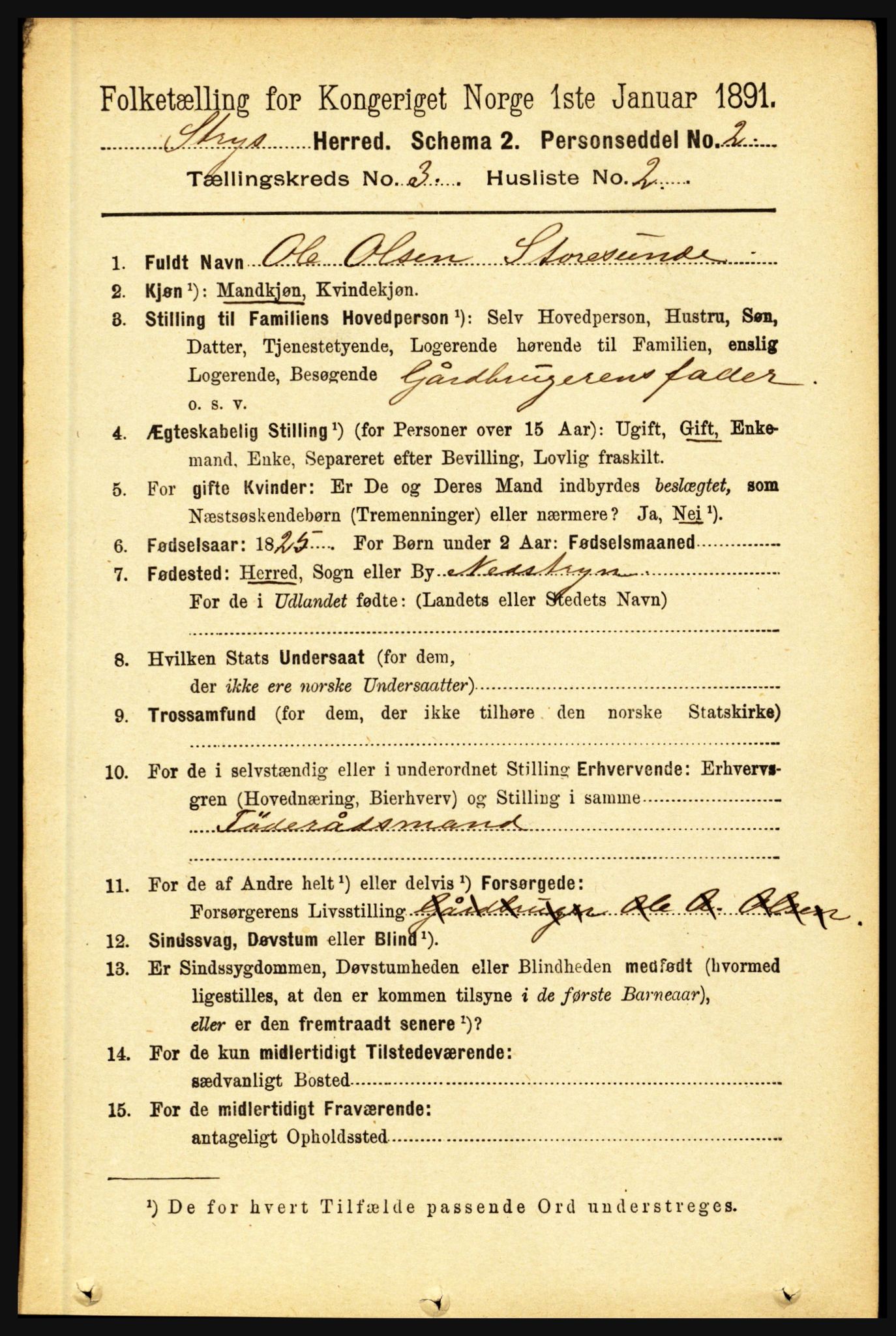 RA, 1891 census for 1448 Stryn, 1891, p. 1105