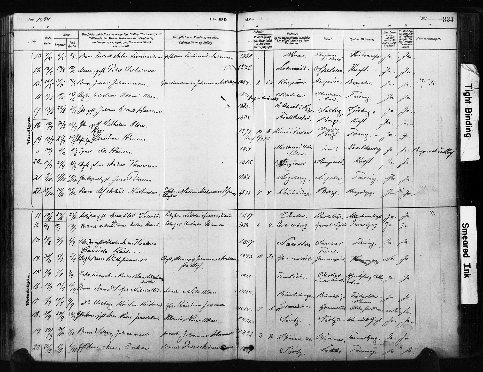 Råde prestekontor kirkebøker, AV/SAO-A-2009/F/Fa/L0007: Parish register (official) no. 7, 1878-1902, p. 333