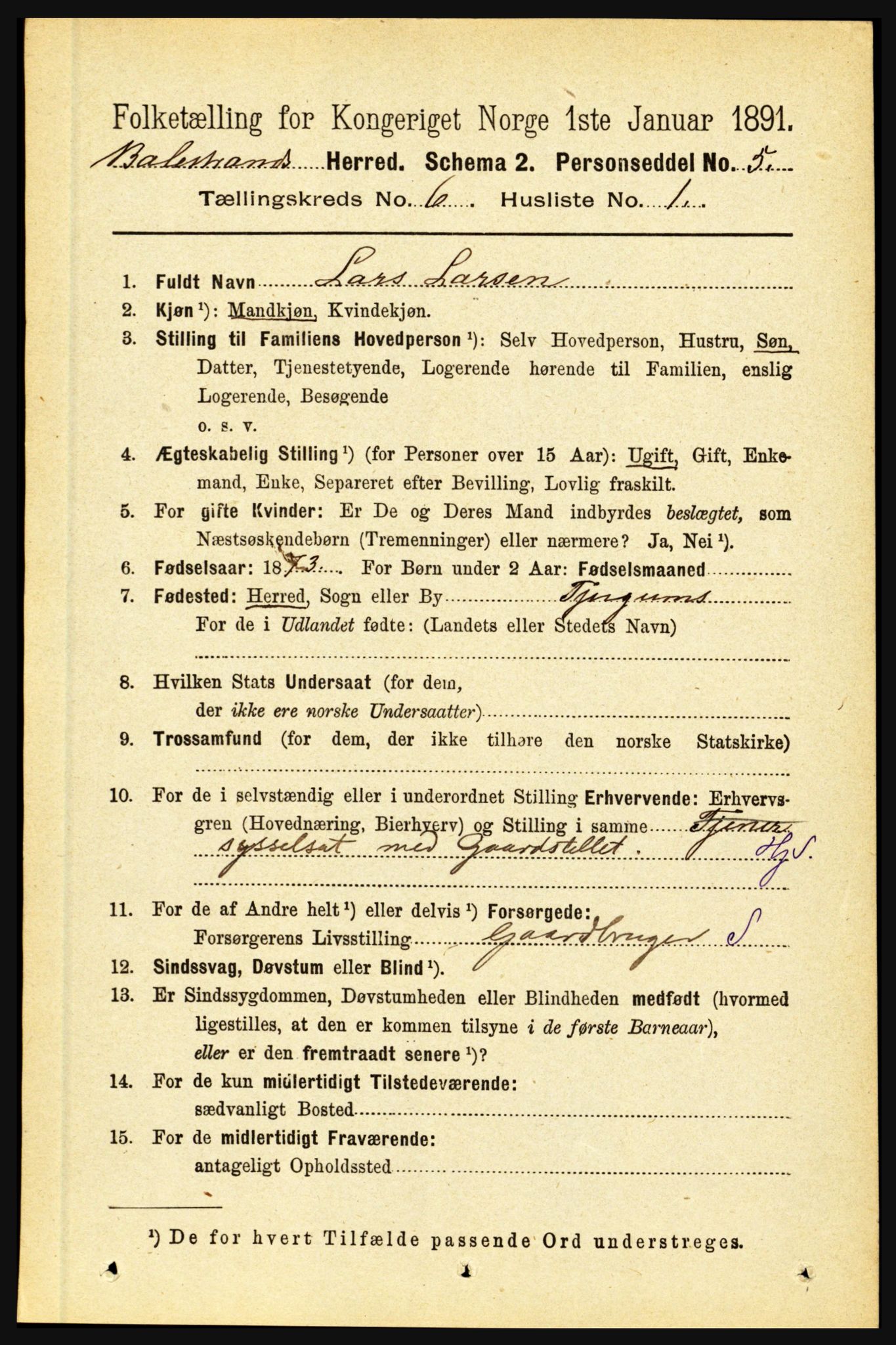 RA, 1891 census for 1418 Balestrand, 1891, p. 1363