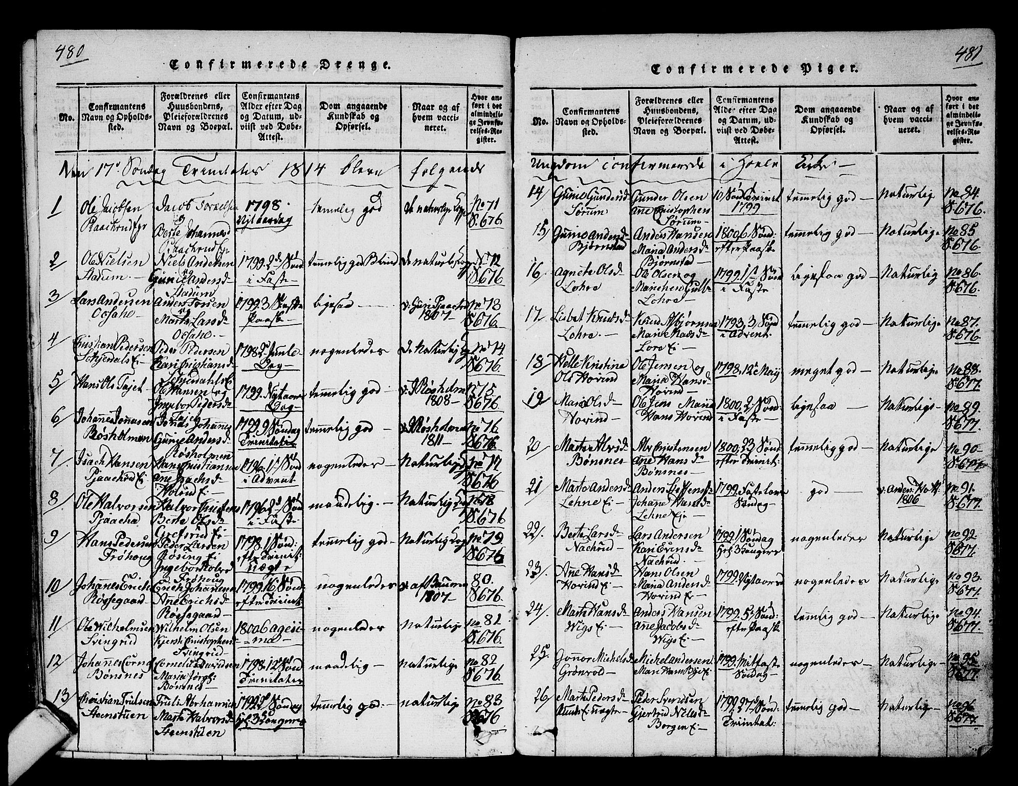 Hole kirkebøker, SAKO/A-228/F/Fa/L0004: Parish register (official) no. I 4, 1814-1833, p. 480-481