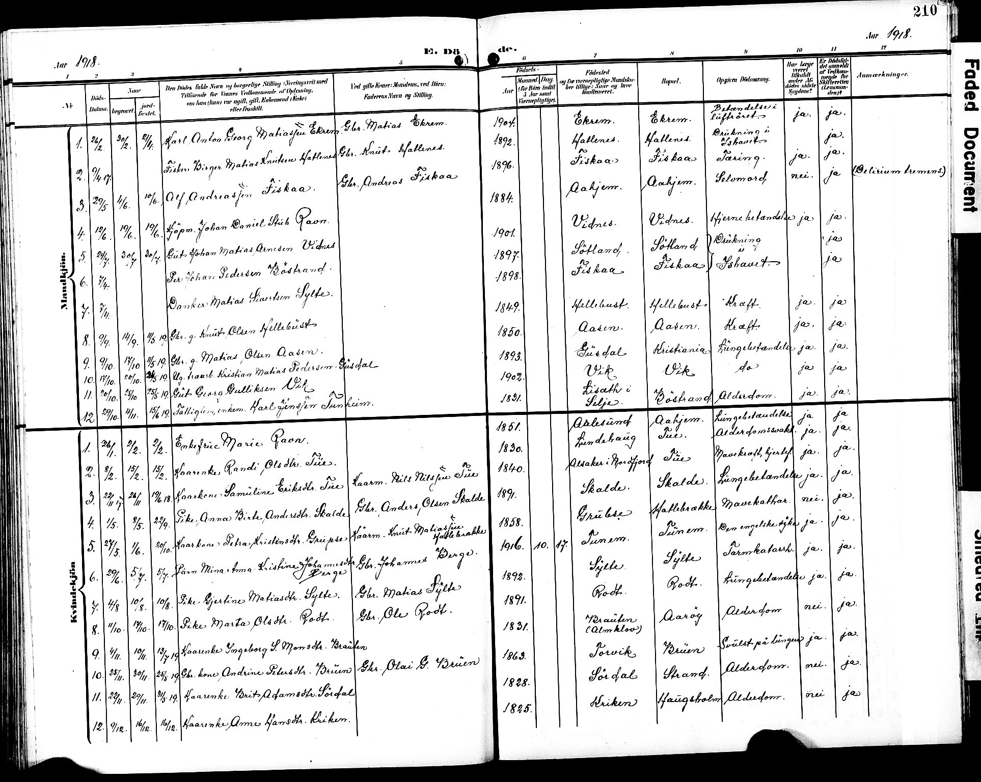 Ministerialprotokoller, klokkerbøker og fødselsregistre - Møre og Romsdal, SAT/A-1454/501/L0018: Parish register (copy) no. 501C04, 1902-1930, p. 210