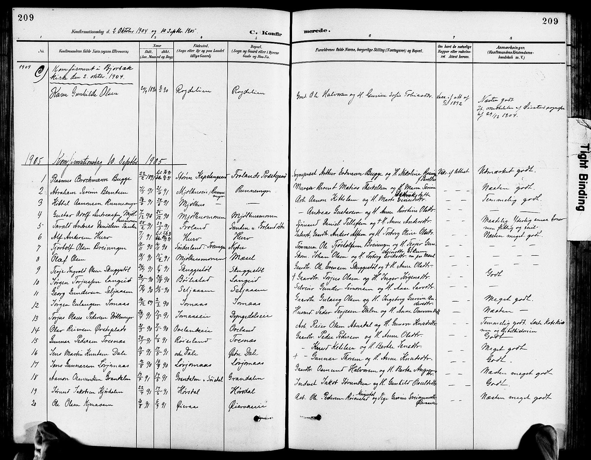 Froland sokneprestkontor, SAK/1111-0013/F/Fb/L0010: Parish register (copy) no. B 10, 1893-1920, p. 209