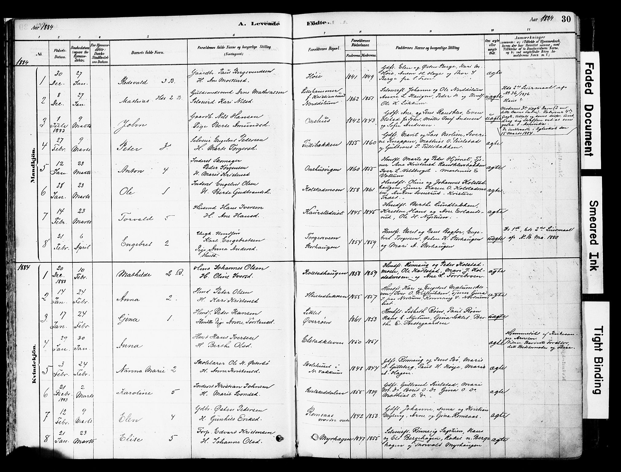 Ringebu prestekontor, SAH/PREST-082/H/Ha/Haa/L0008: Parish register (official) no. 8, 1878-1898, p. 30