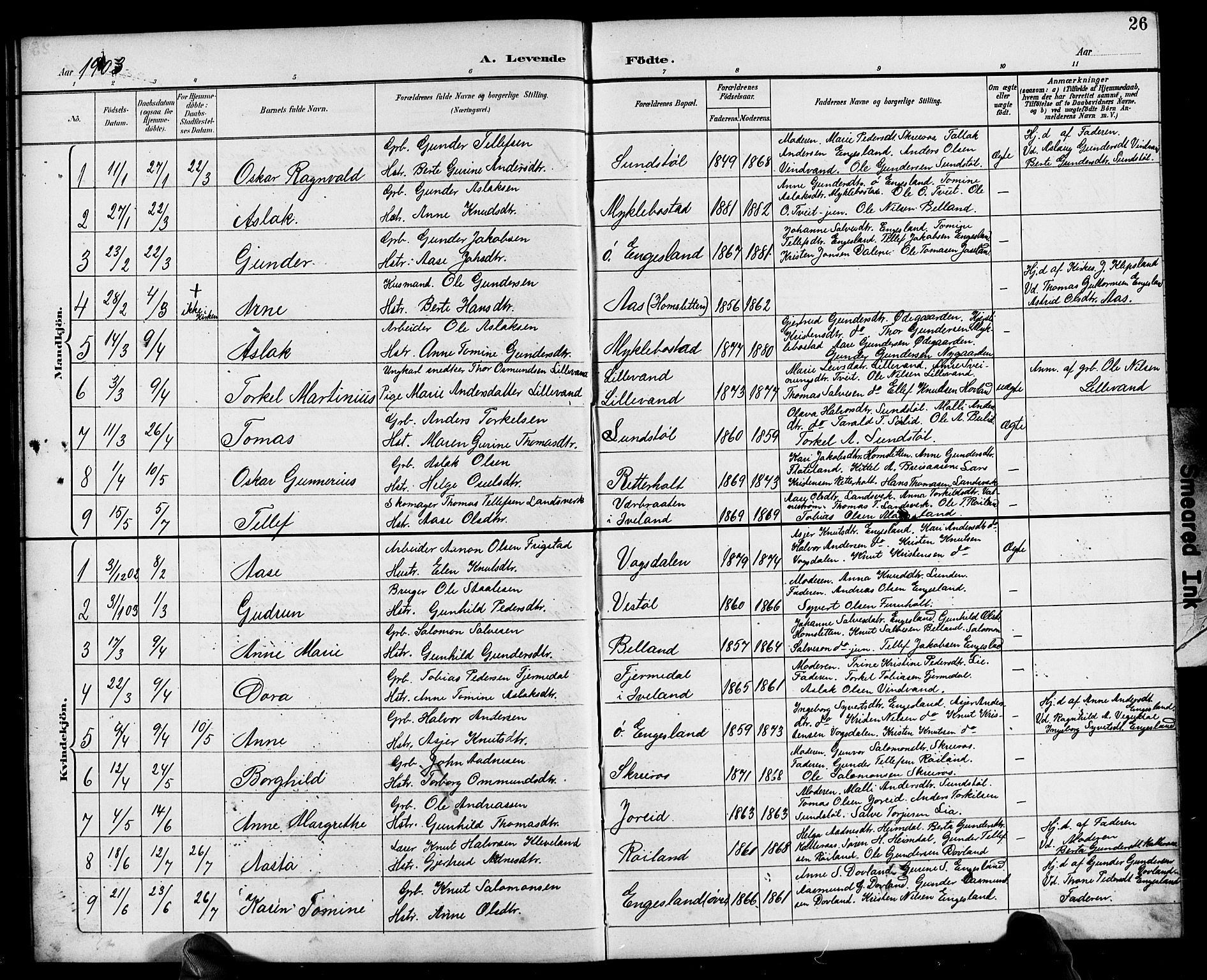 Herefoss sokneprestkontor, AV/SAK-1111-0019/F/Fb/Fbb/L0003: Parish register (copy) no. B 3, 1892-1917, p. 26