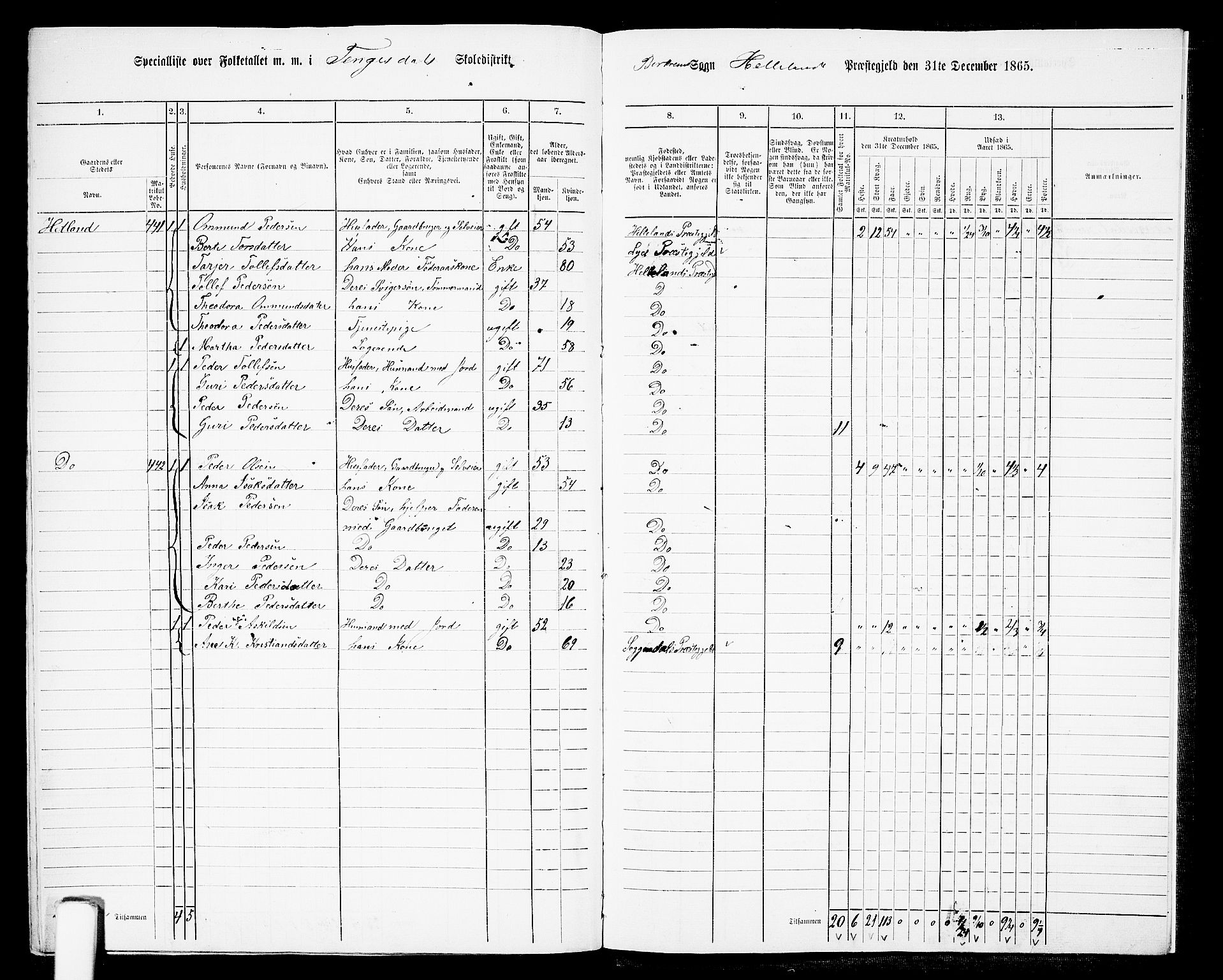 RA, 1865 census for Helleland, 1865, p. 146