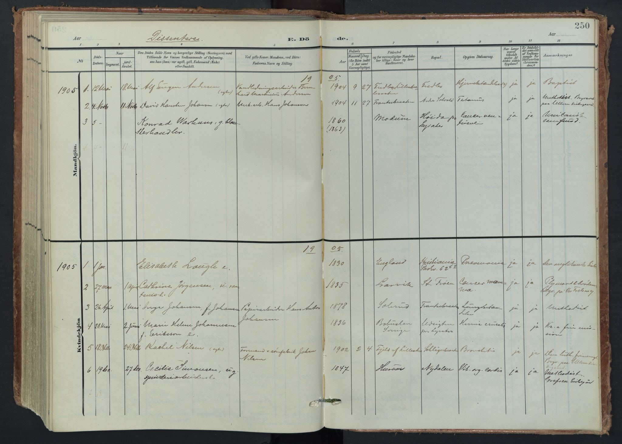 Vestre Aker prestekontor Kirkebøker, AV/SAO-A-10025/F/Fa/L0016: Parish register (official) no. 16, 1904-1926, p. 250