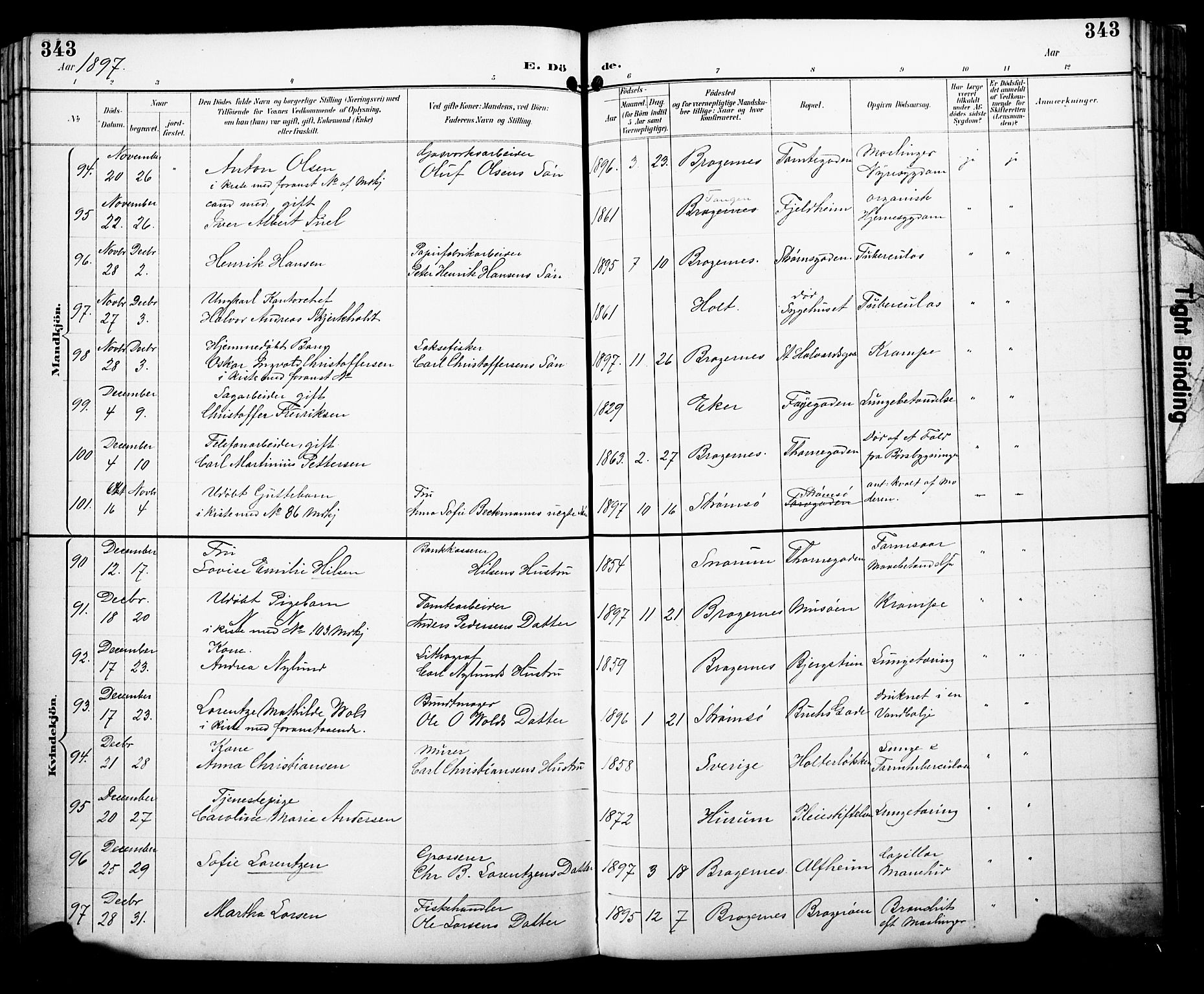 Bragernes kirkebøker, AV/SAKO-A-6/F/Fb/L0008: Parish register (official) no. II 8, 1894-1902, p. 343