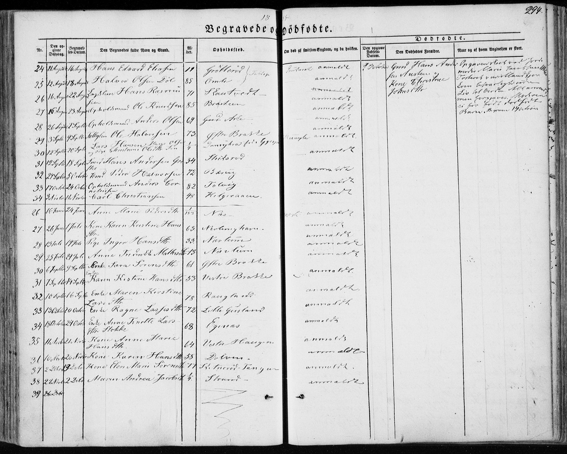 Brunlanes kirkebøker, AV/SAKO-A-342/F/Fa/L0004: Parish register (official) no. I 4, 1846-1862, p. 294