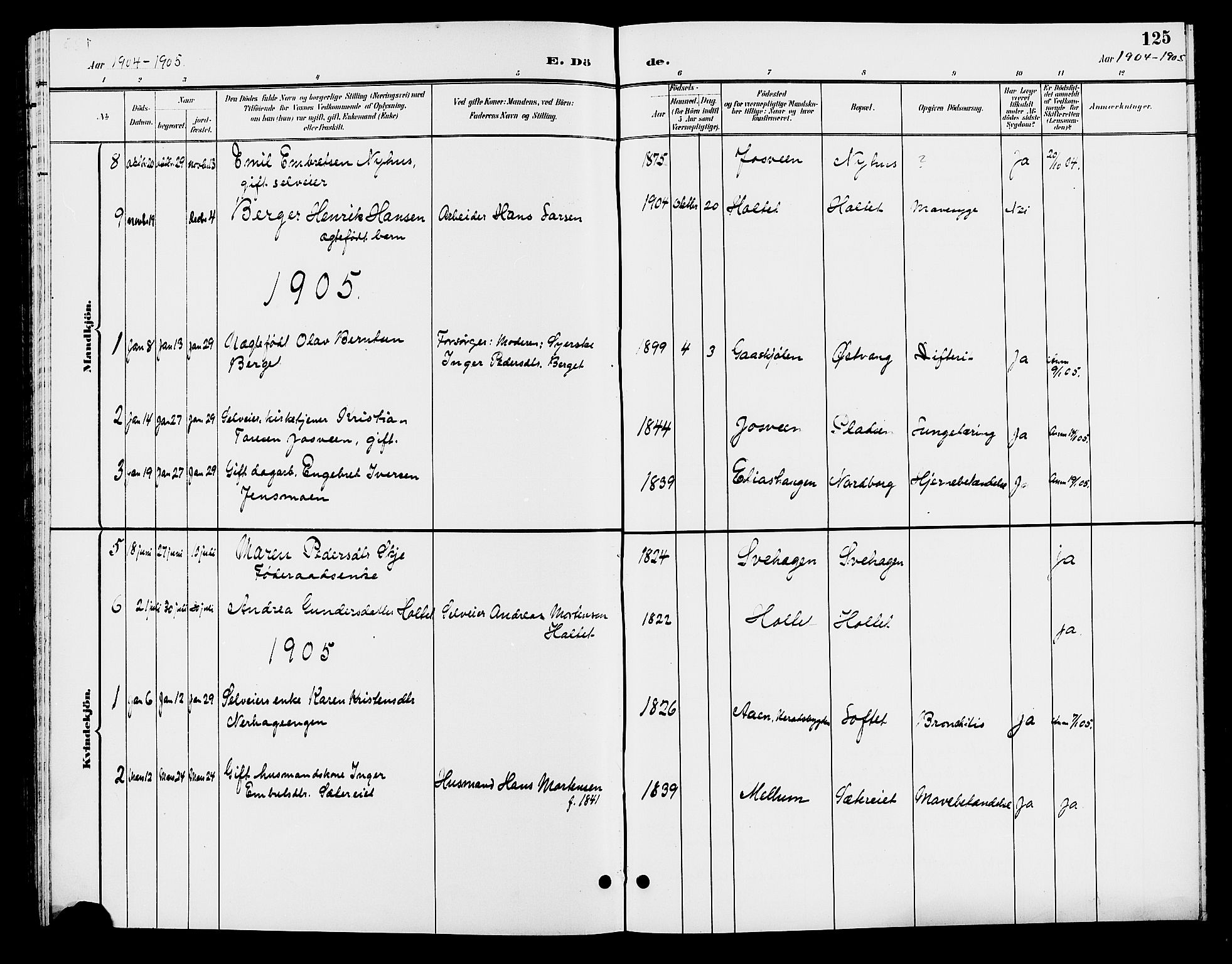 Elverum prestekontor, AV/SAH-PREST-044/H/Ha/Hab/L0006: Parish register (copy) no. 6, 1896-1907, p. 125