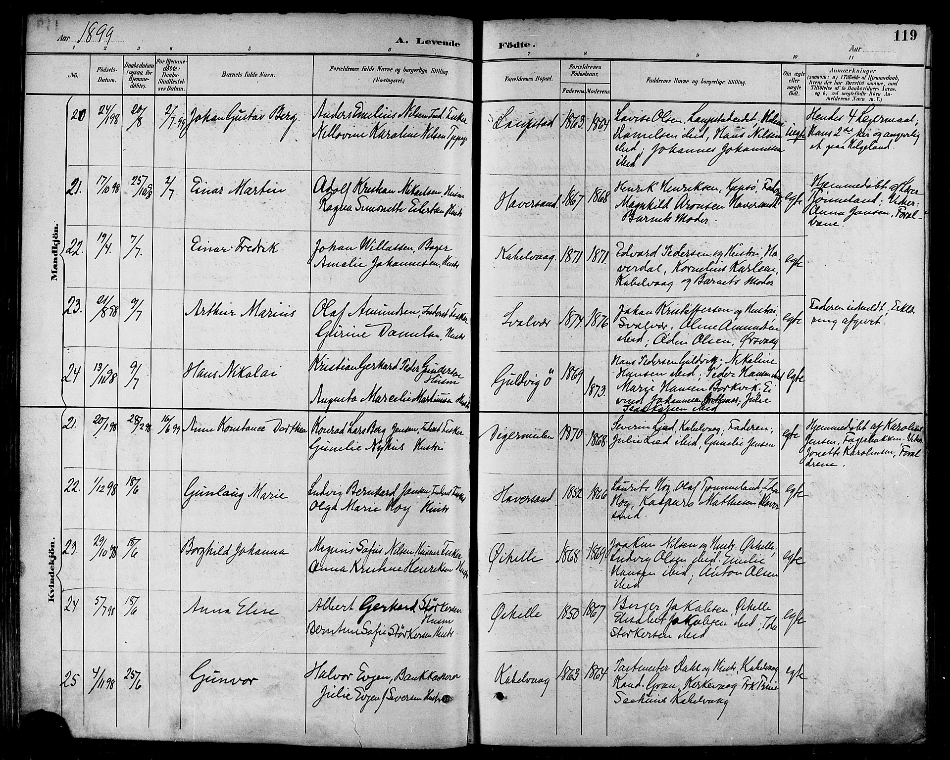 Ministerialprotokoller, klokkerbøker og fødselsregistre - Nordland, AV/SAT-A-1459/874/L1060: Parish register (official) no. 874A04, 1890-1899, p. 119