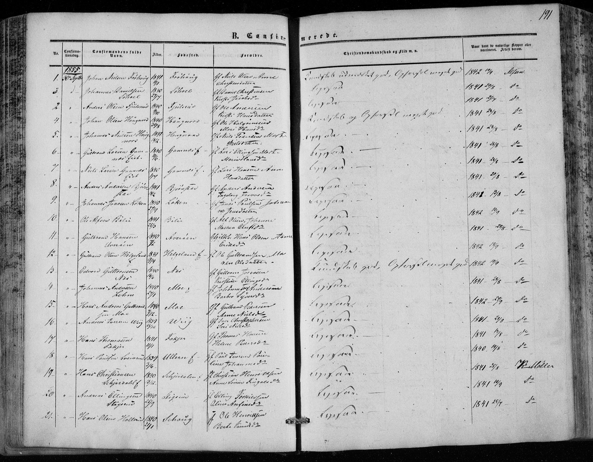 Hole kirkebøker, SAKO/A-228/F/Fa/L0006: Parish register (official) no. I 6, 1852-1872, p. 191