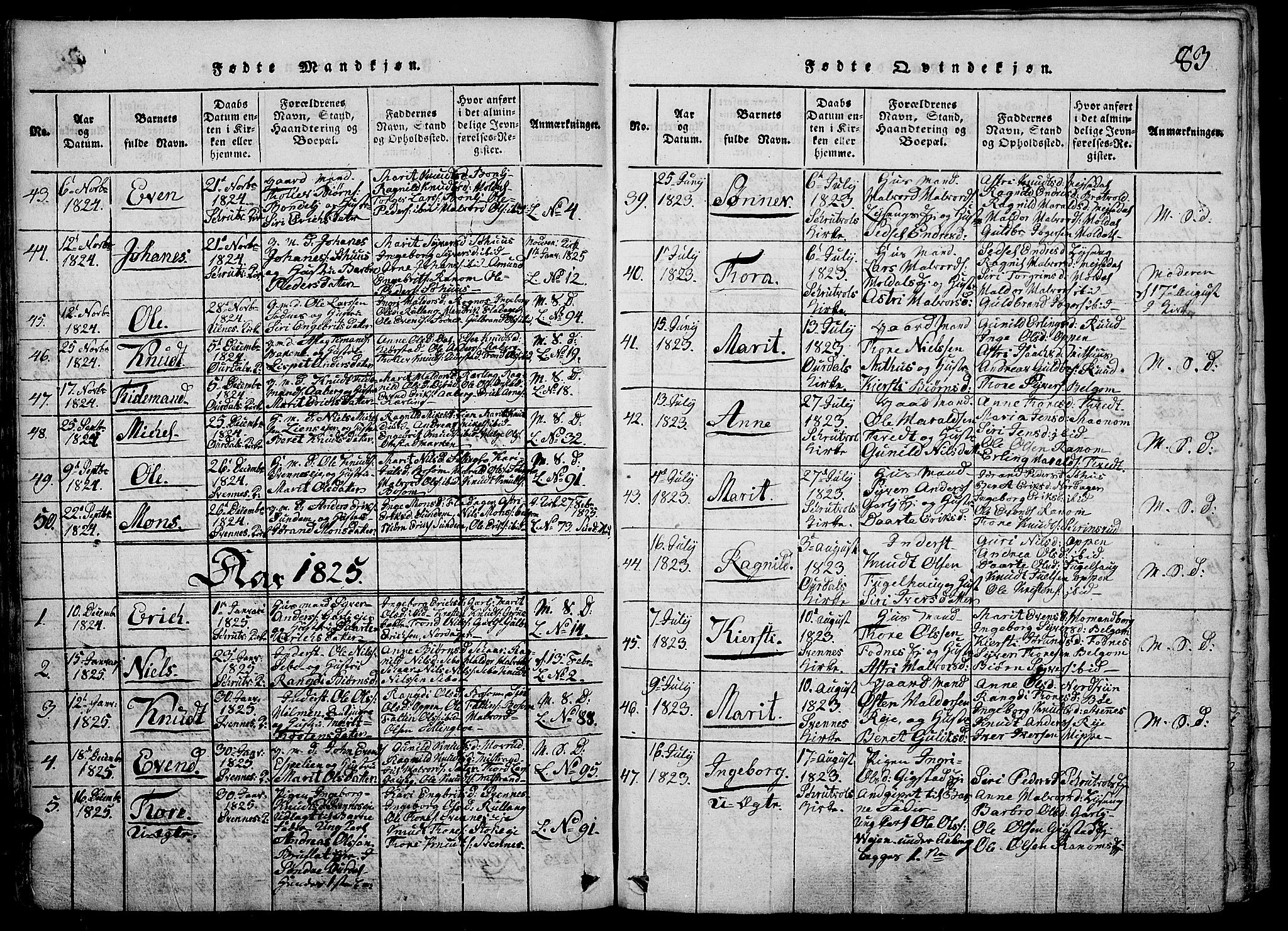 Nord-Aurdal prestekontor, SAH/PREST-132/H/Ha/Haa/L0002: Parish register (official) no. 2, 1816-1828, p. 83