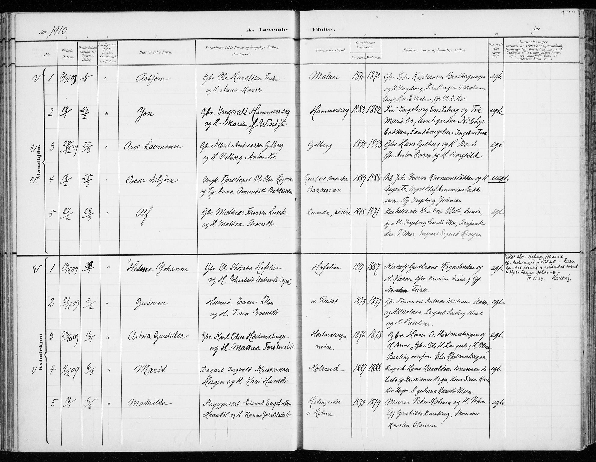 Fåberg prestekontor, AV/SAH-PREST-086/H/Ha/Haa/L0011: Parish register (official) no. 11, 1899-1913, p. 100
