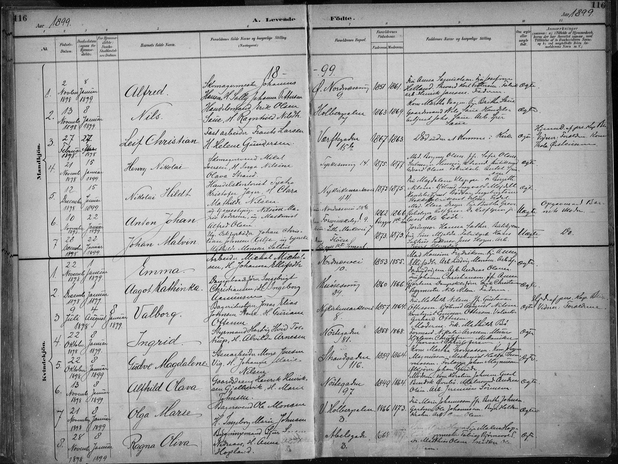 Nykirken Sokneprestembete, AV/SAB-A-77101/H/Haa/L0018: Parish register (official) no. B 6, 1895-1903, p. 116