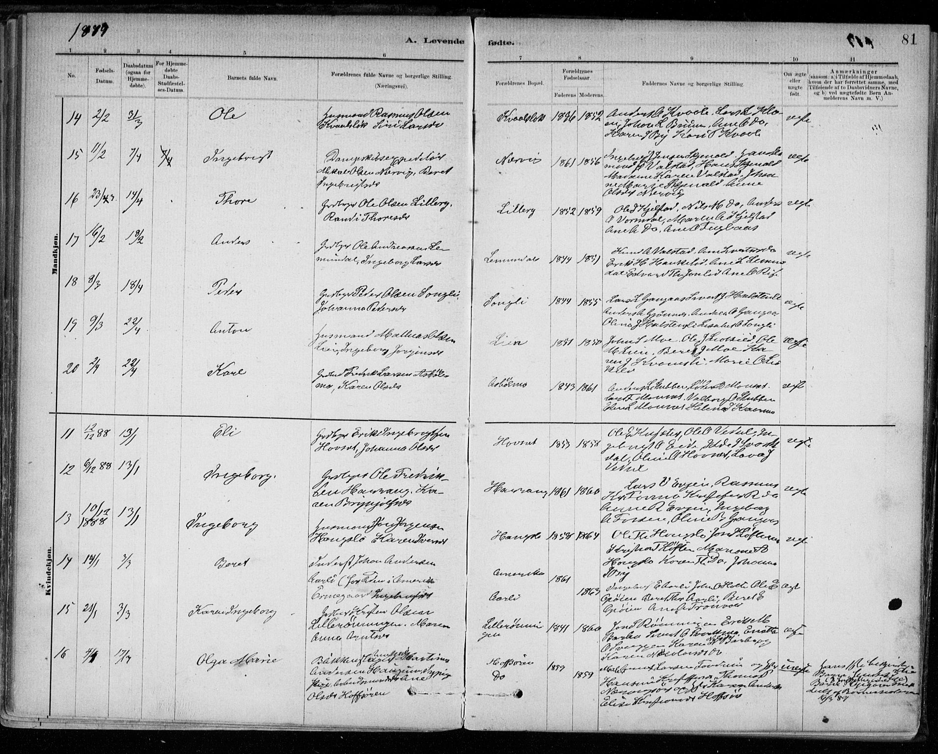 Ministerialprotokoller, klokkerbøker og fødselsregistre - Sør-Trøndelag, SAT/A-1456/668/L0809: Parish register (official) no. 668A09, 1881-1895, p. 81