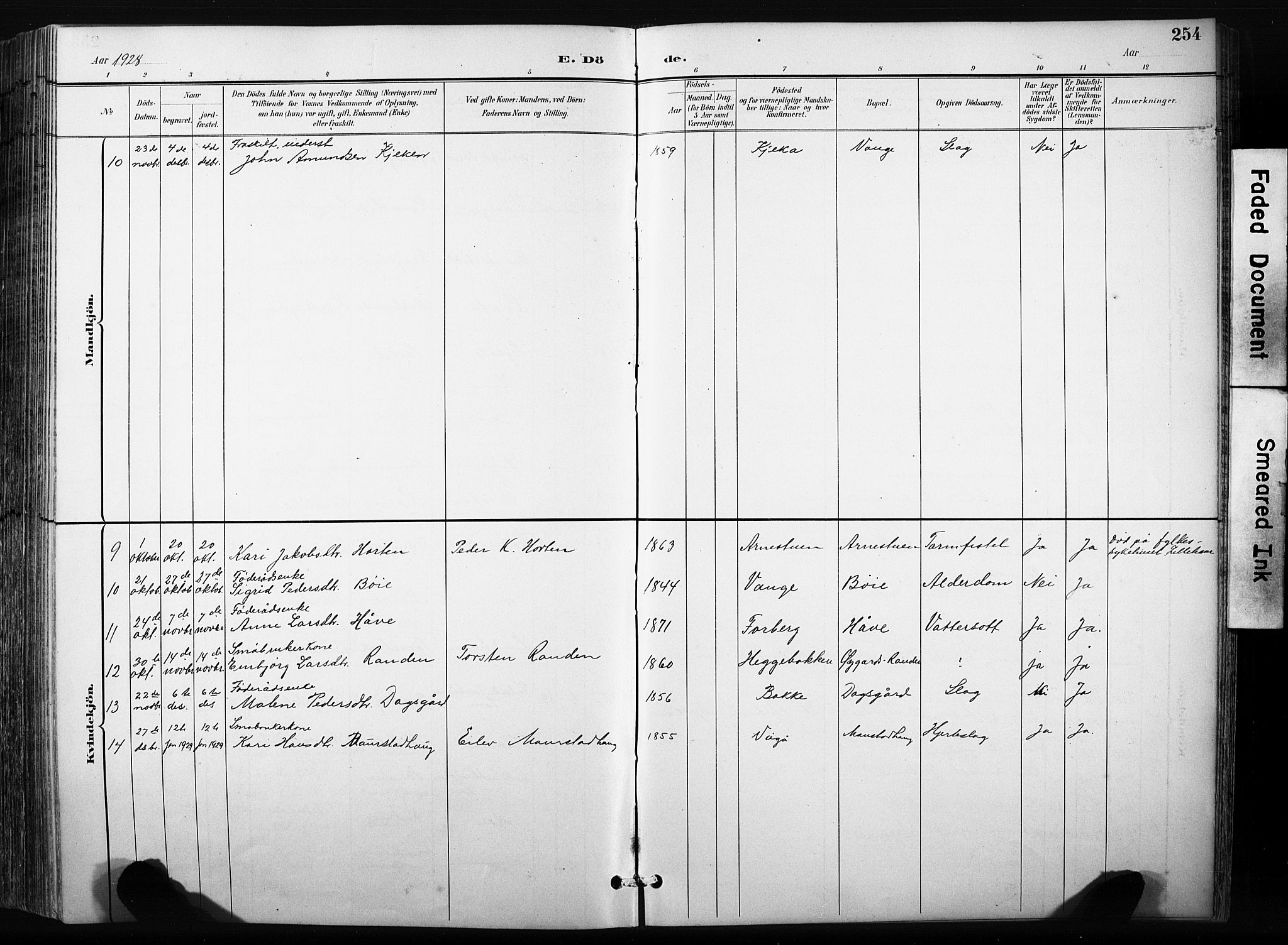 Skjåk prestekontor, SAH/PREST-072/H/Ha/Hab/L0003: Parish register (copy) no. 3, 1893-1932, p. 254
