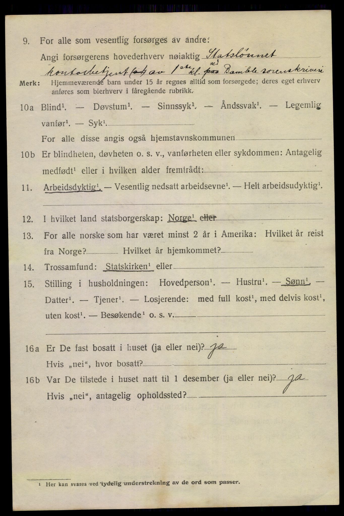 SAKO, 1920 census for Brevik, 1920, p. 6033