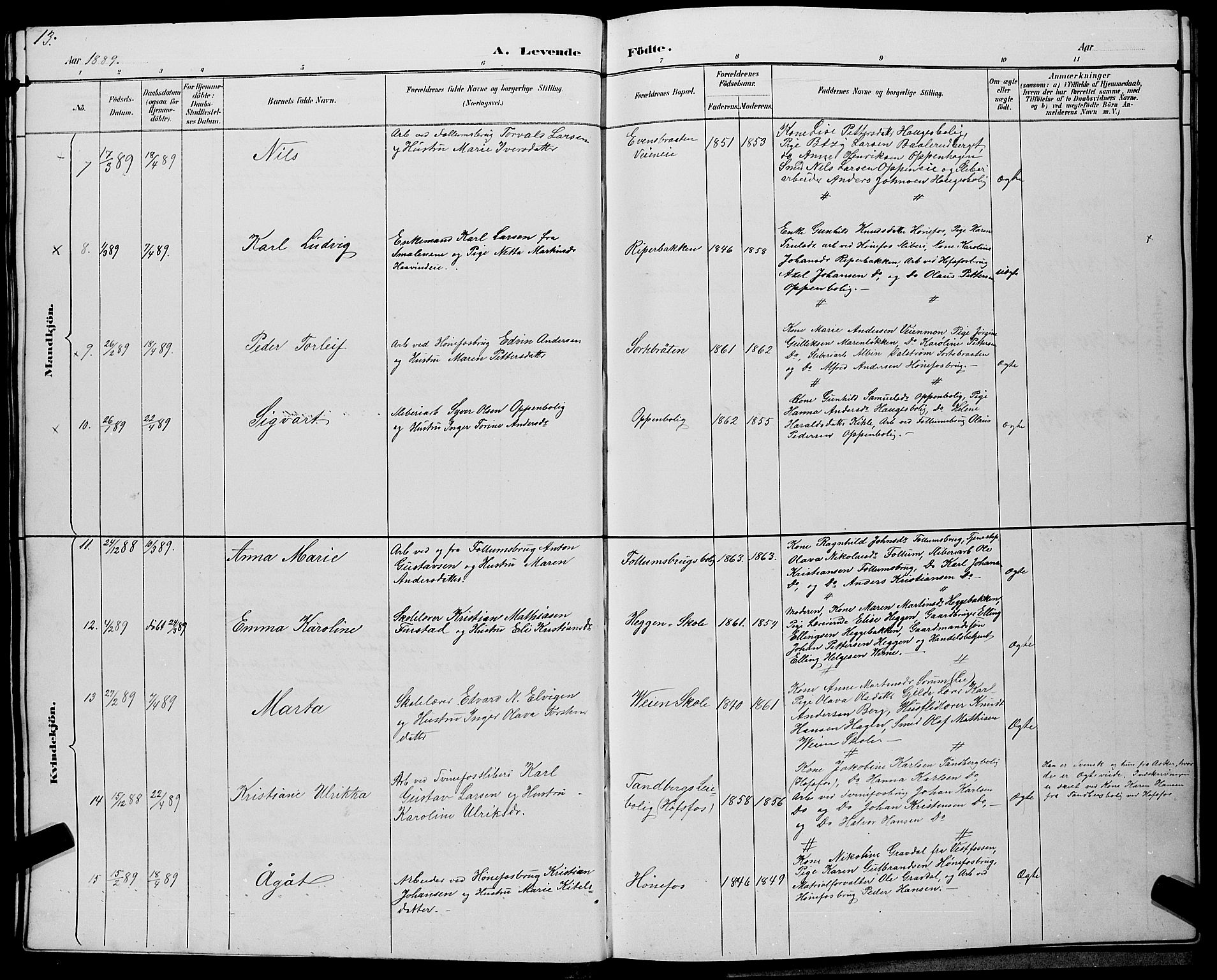 Hønefoss kirkebøker, AV/SAKO-A-609/G/Ga/L0002: Parish register (copy) no. 2, 1888-1904, p. 13