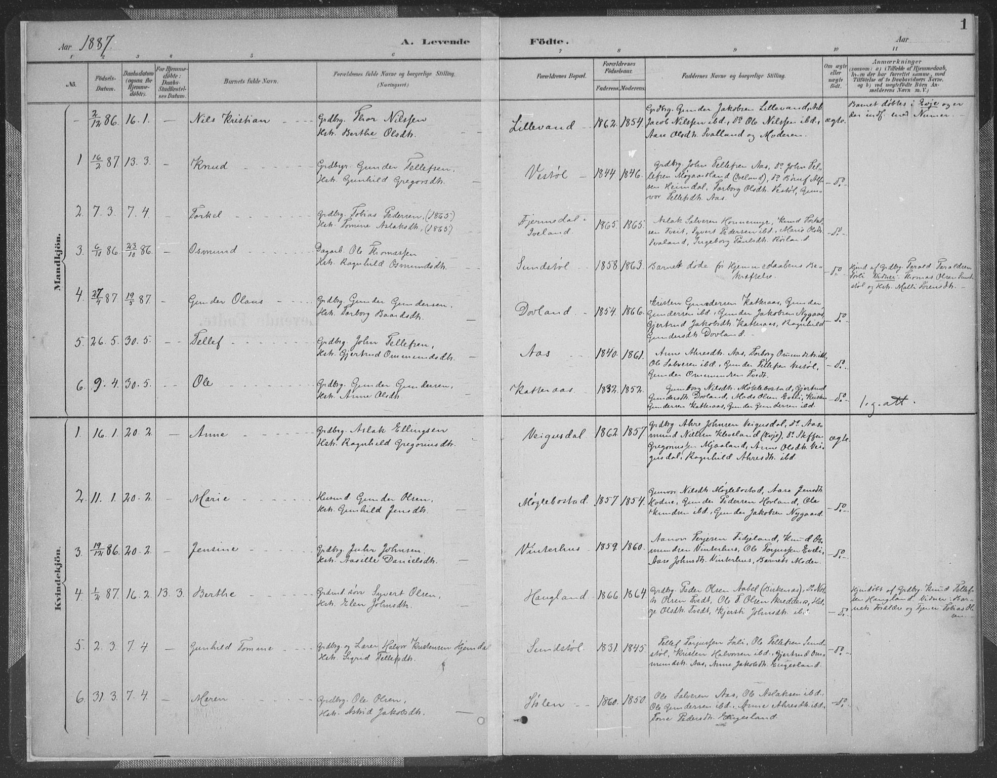 Herefoss sokneprestkontor, SAK/1111-0019/F/Fa/Fab/L0004: Parish register (official) no. A 4, 1887-1909, p. 1
