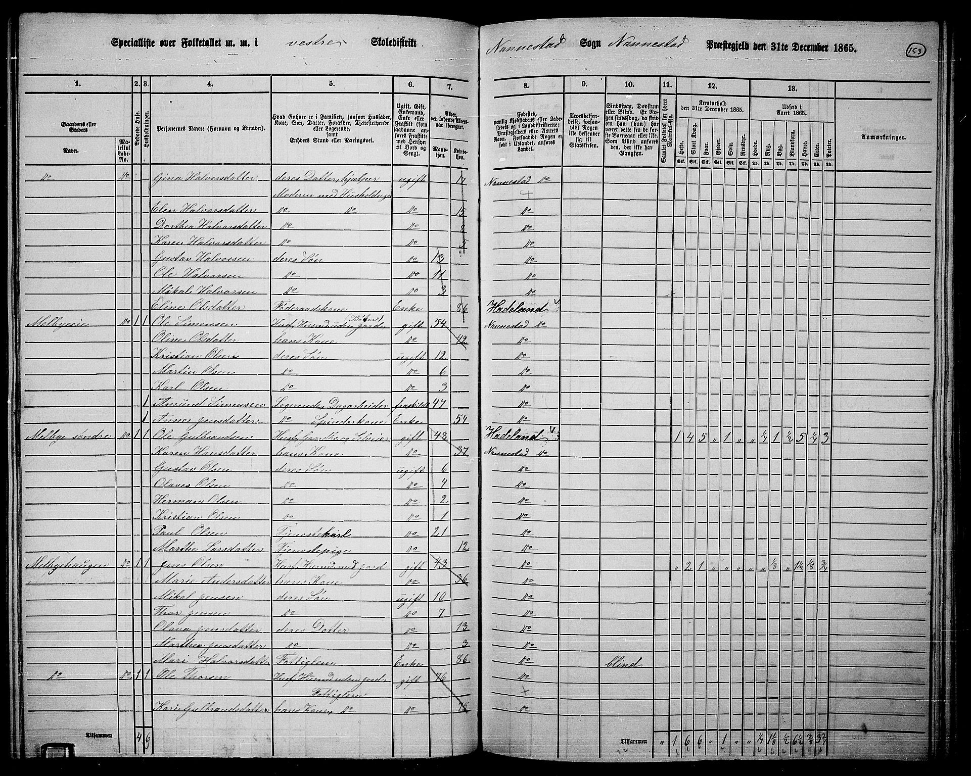 RA, 1865 census for Nannestad, 1865, p. 36